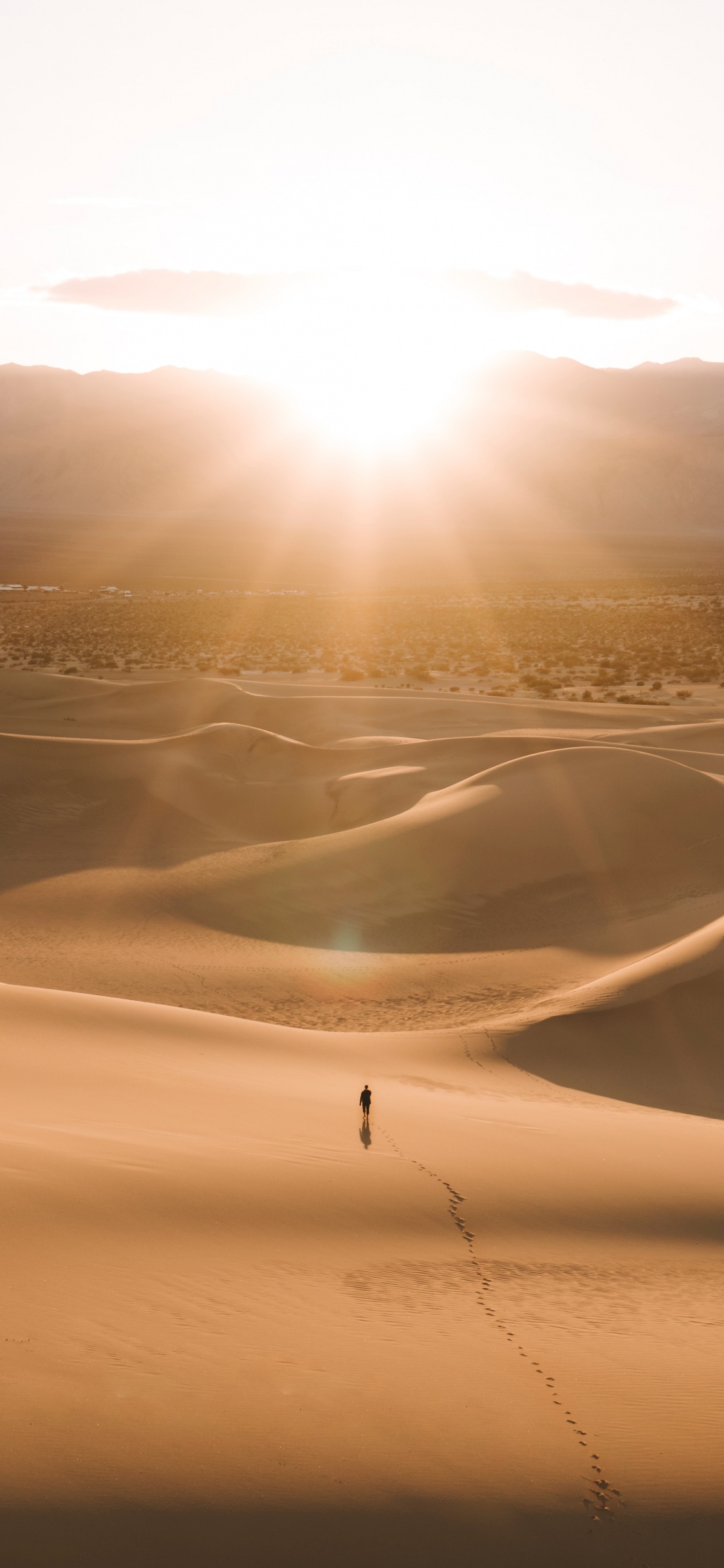 Sahara, Montagnes Rocheuses, Sand, Lumière, ERG. Wallpaper in 1125x2436 Resolution