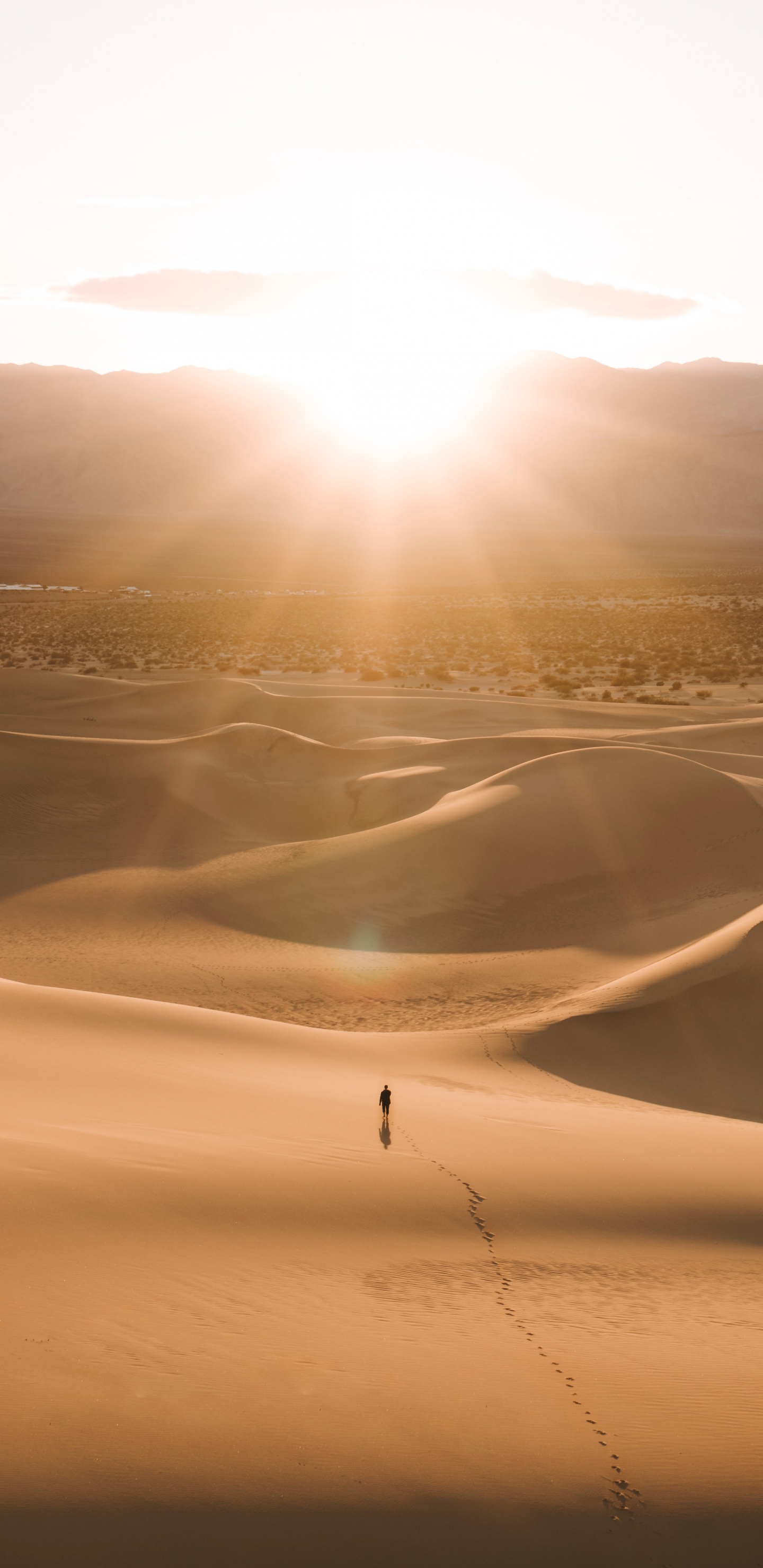 Sahara, Rocky Mountains, Sand, Landscape, Light. Wallpaper in 1440x2960 Resolution