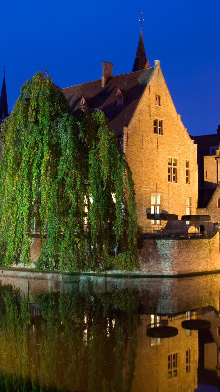 Brown Concrete Building Near Green Trees and Water During Daytime. Wallpaper in 750x1334 Resolution