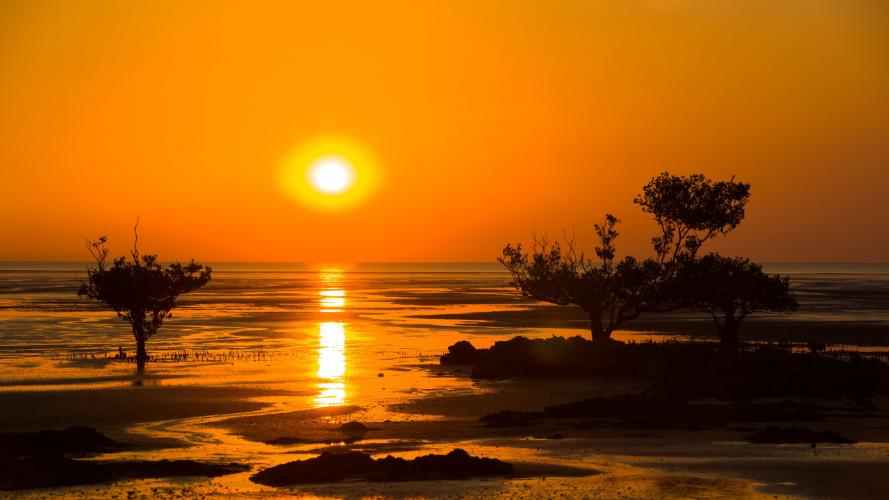 Silhouette of Trees Near Body of Water During Sunset. Wallpaper in 1280x720 Resolution