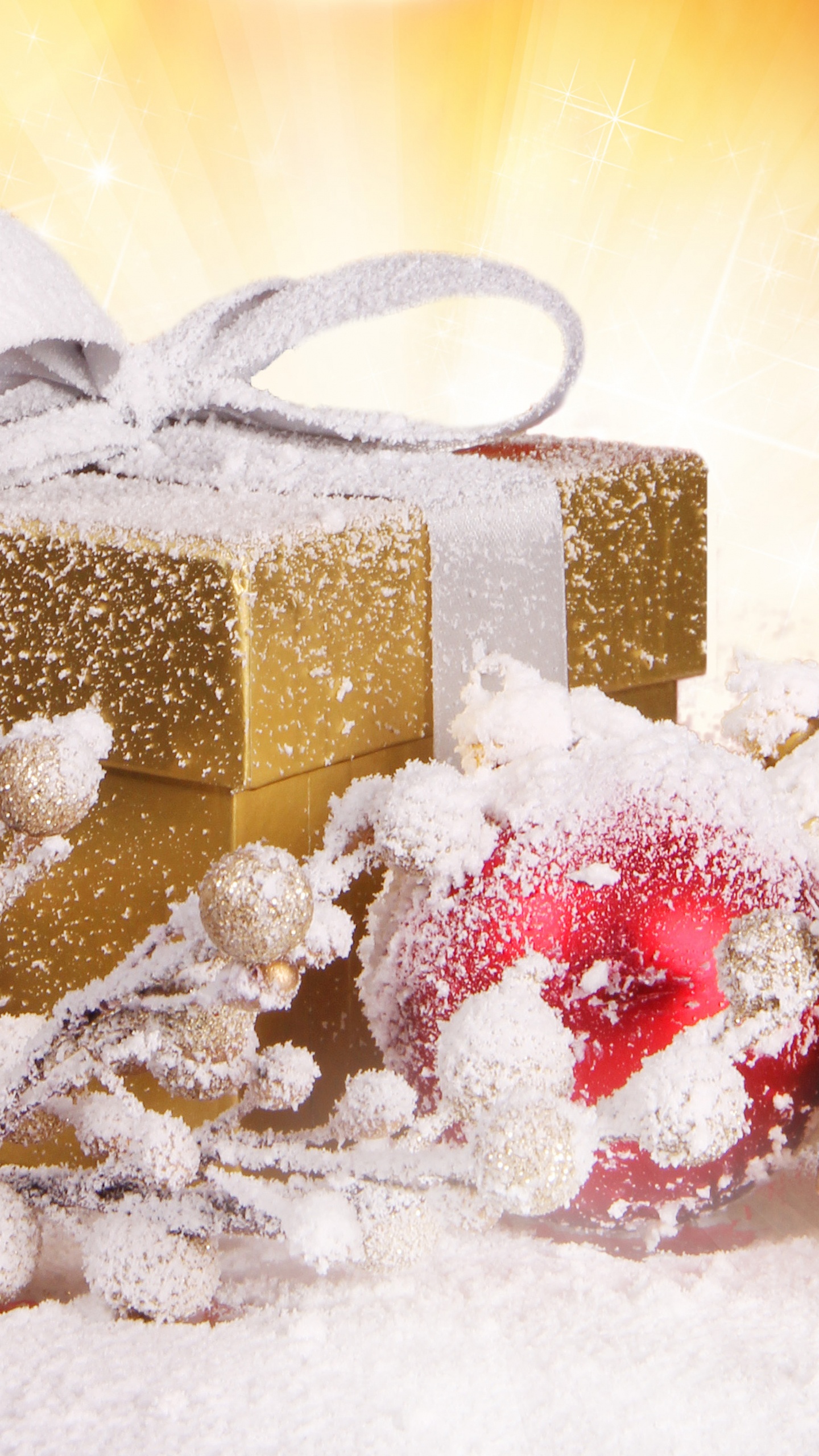 Christmas Gift, Gift, Christmas Day, Present, Panforte. Wallpaper in 1440x2560 Resolution