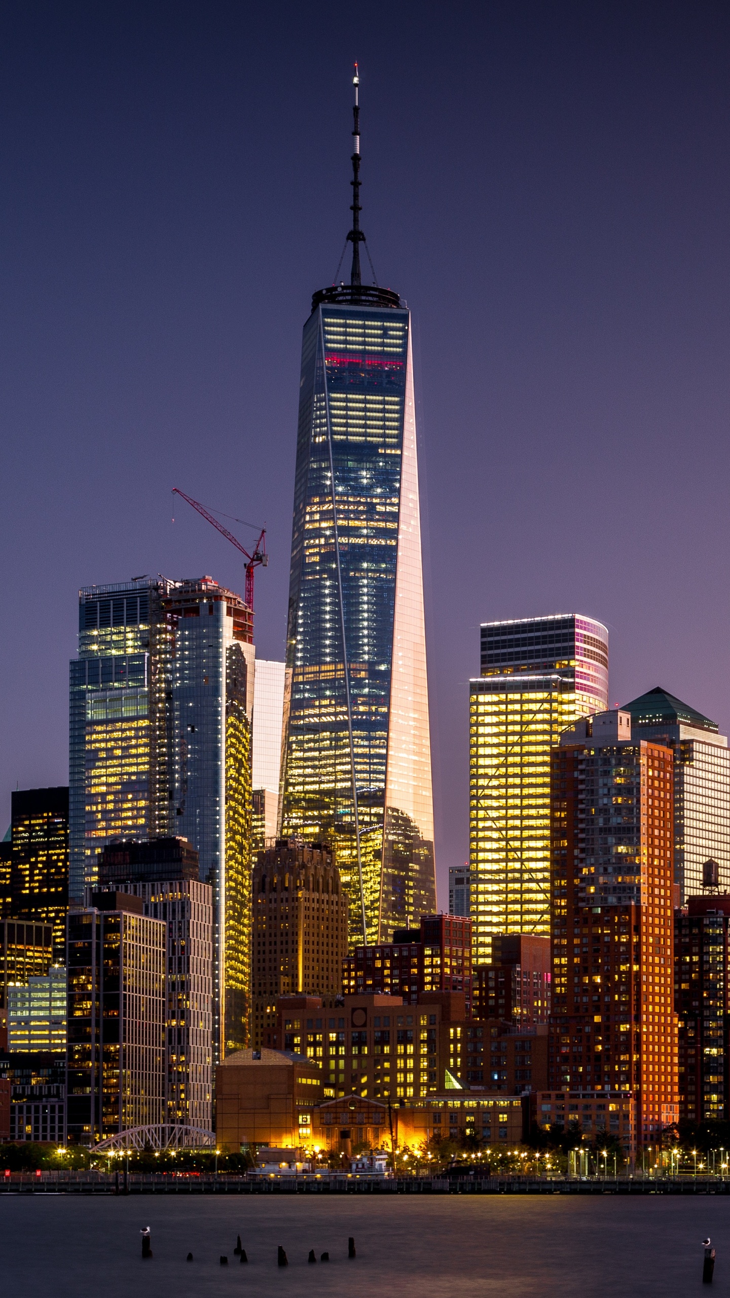 Skyline Der Stadt Bei Nacht Night. Wallpaper in 1440x2560 Resolution