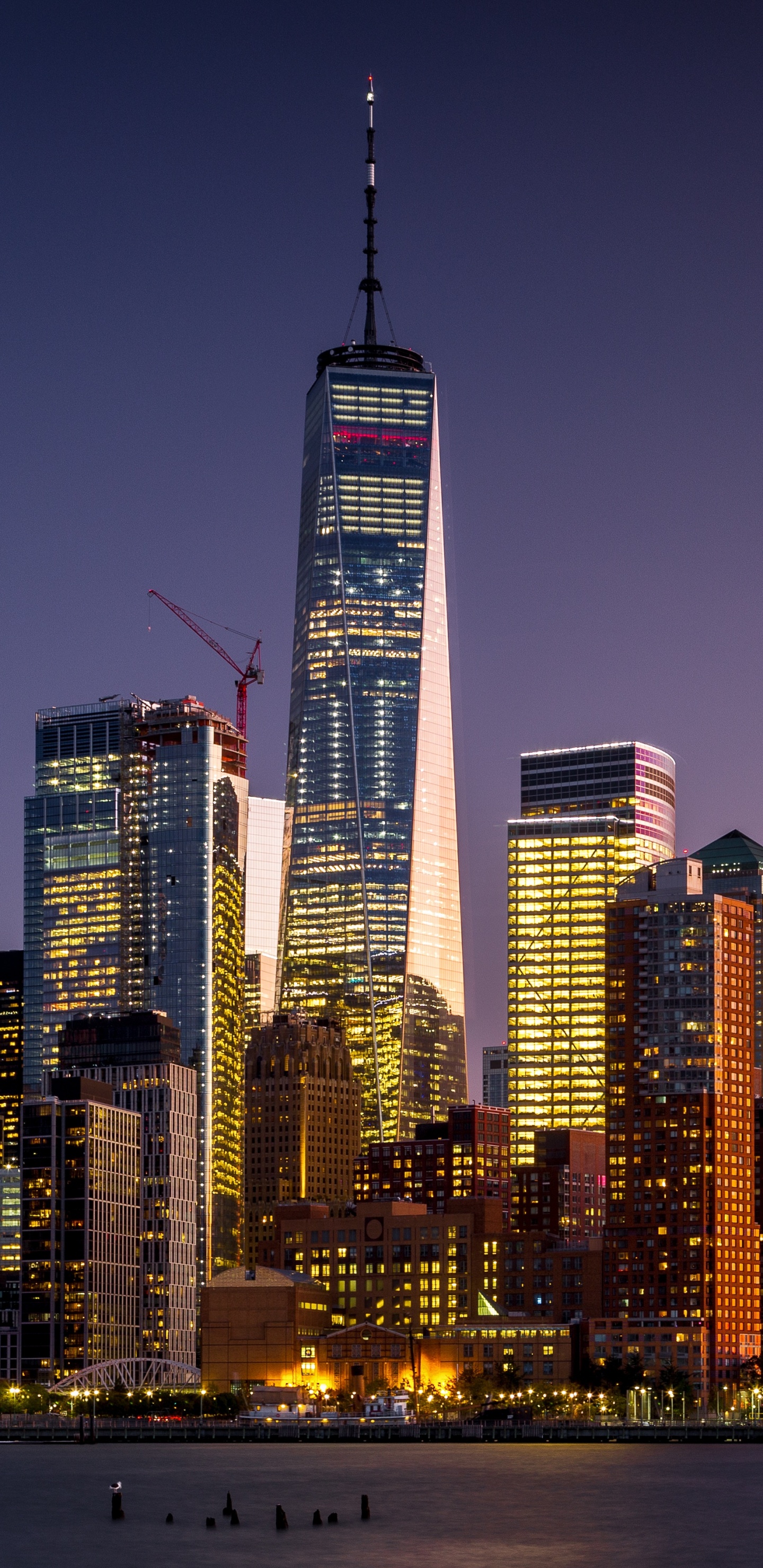 Skyline Der Stadt Bei Nacht Night. Wallpaper in 1440x2960 Resolution