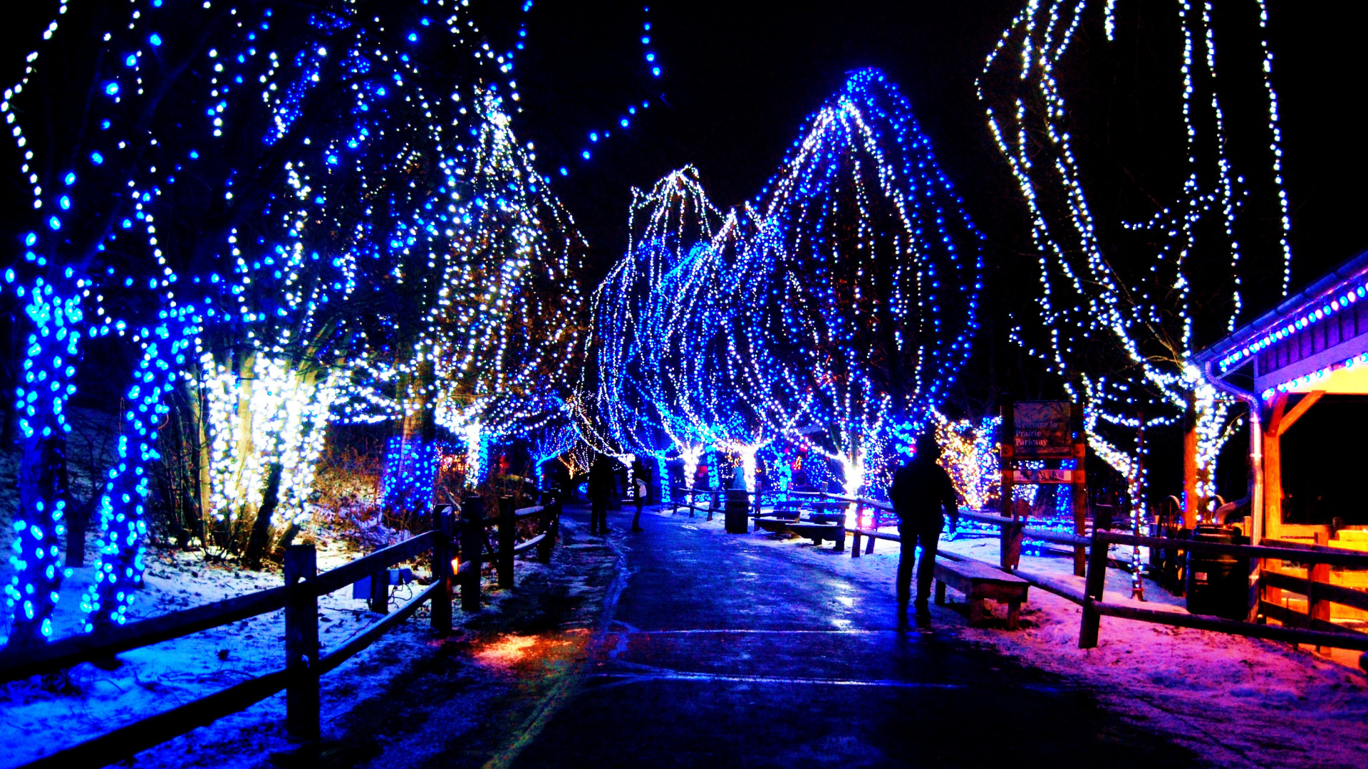 El Día De Navidad, Luces de Navidad, Azul, Luz, Electricidad. Wallpaper in 1920x1080 Resolution
