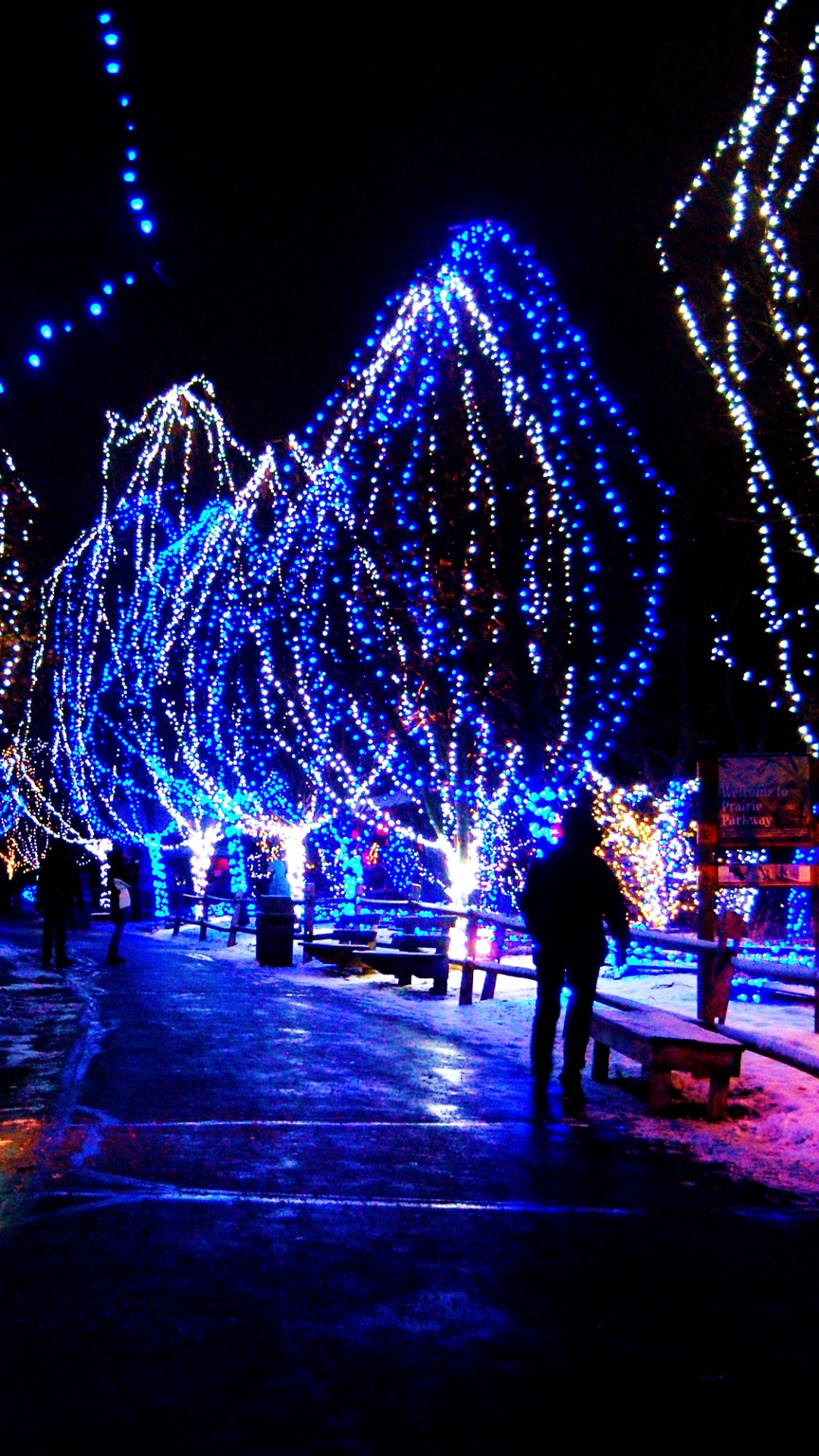 Christmas Day, Christmas Lights, Blue, Light, Lighting. Wallpaper in 1080x1920 Resolution