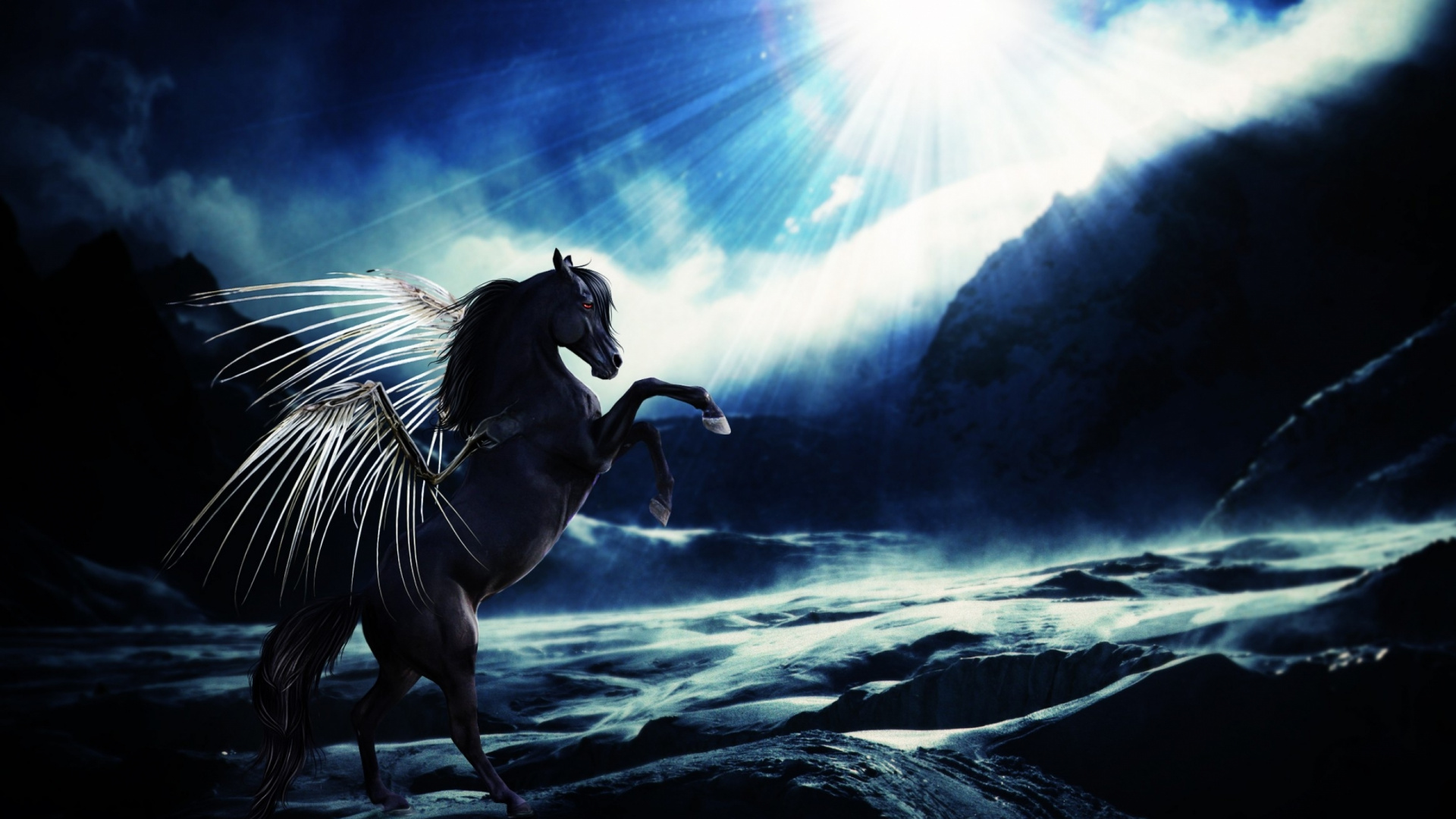 Cheval Blanc et Noir Courant Sur le Sable Noir Pendant la Journée. Wallpaper in 1920x1080 Resolution