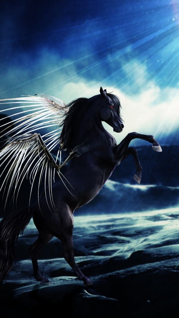 Cheval Blanc et Noir Courant Sur le Sable Noir Pendant la Journée. Wallpaper in 750x1334 Resolution