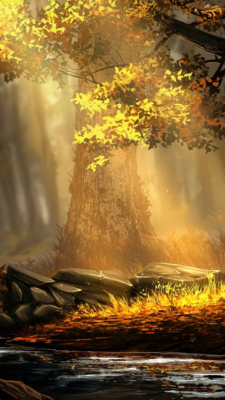 Nature M, Woodland, Art, Old Growth Forest, Sunlight. Wallpaper in 720x1280 Resolution