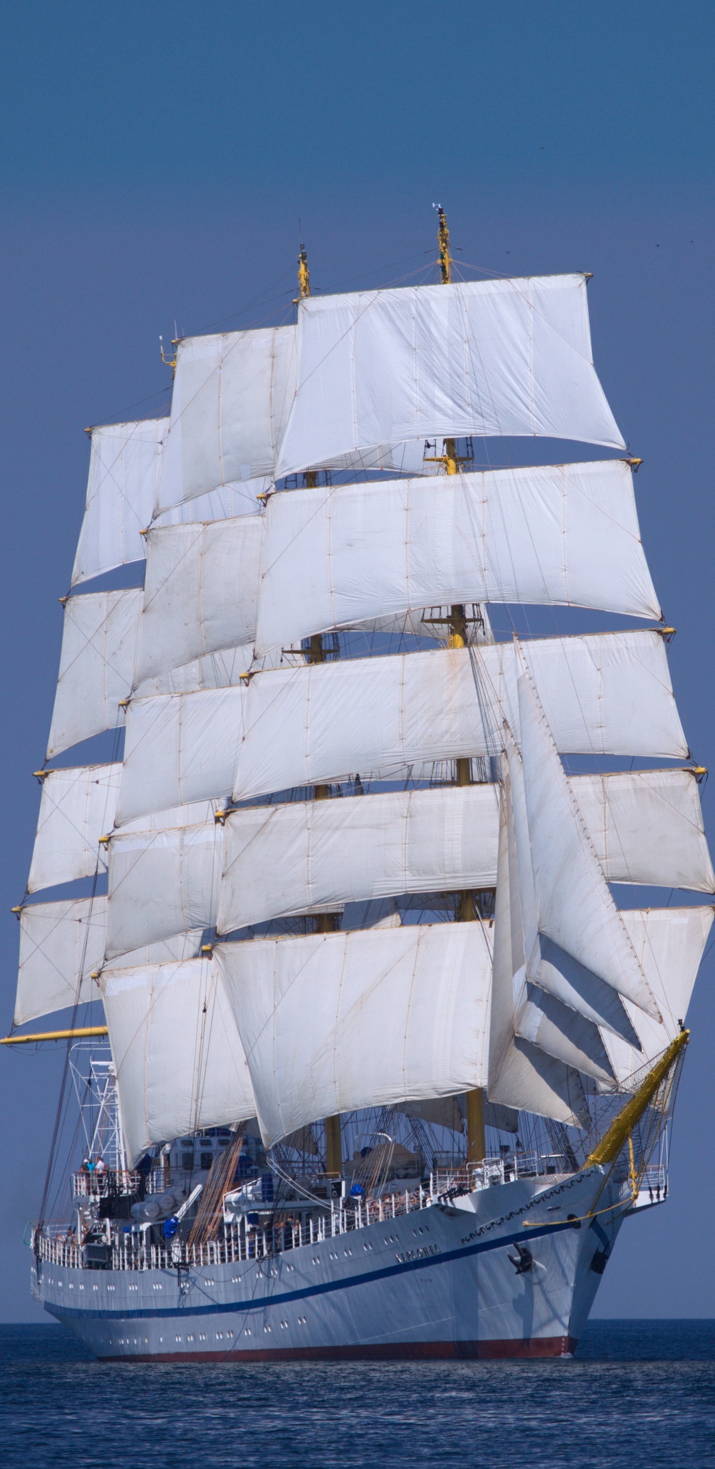 Velero Blanco en el Mar Durante el Día. Wallpaper in 1440x2960 Resolution