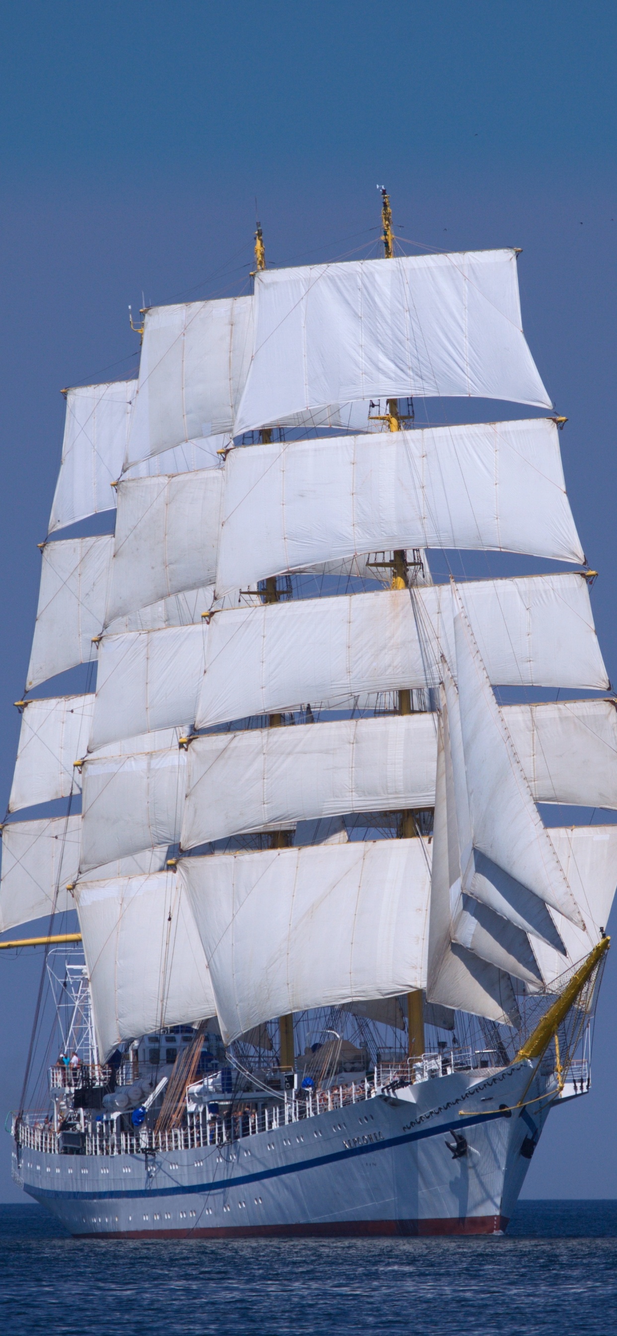 Voilier Blanc en Mer Pendant la Journée. Wallpaper in 1242x2688 Resolution