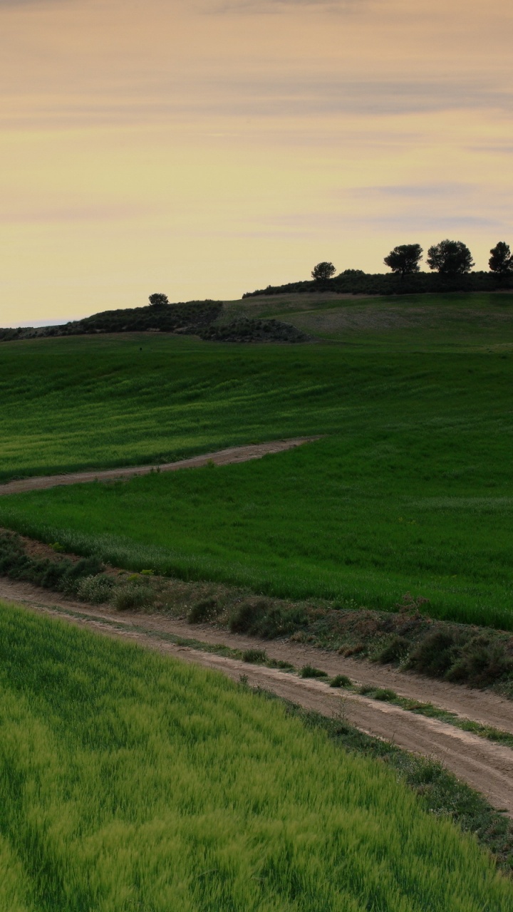 Green Grass Field Under Cloudy Sky During Daytime. Wallpaper in 720x1280 Resolution
