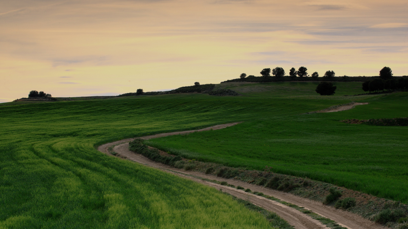 Campo de Hierba Verde Bajo el Cielo Nublado Durante el Día. Wallpaper in 1366x768 Resolution