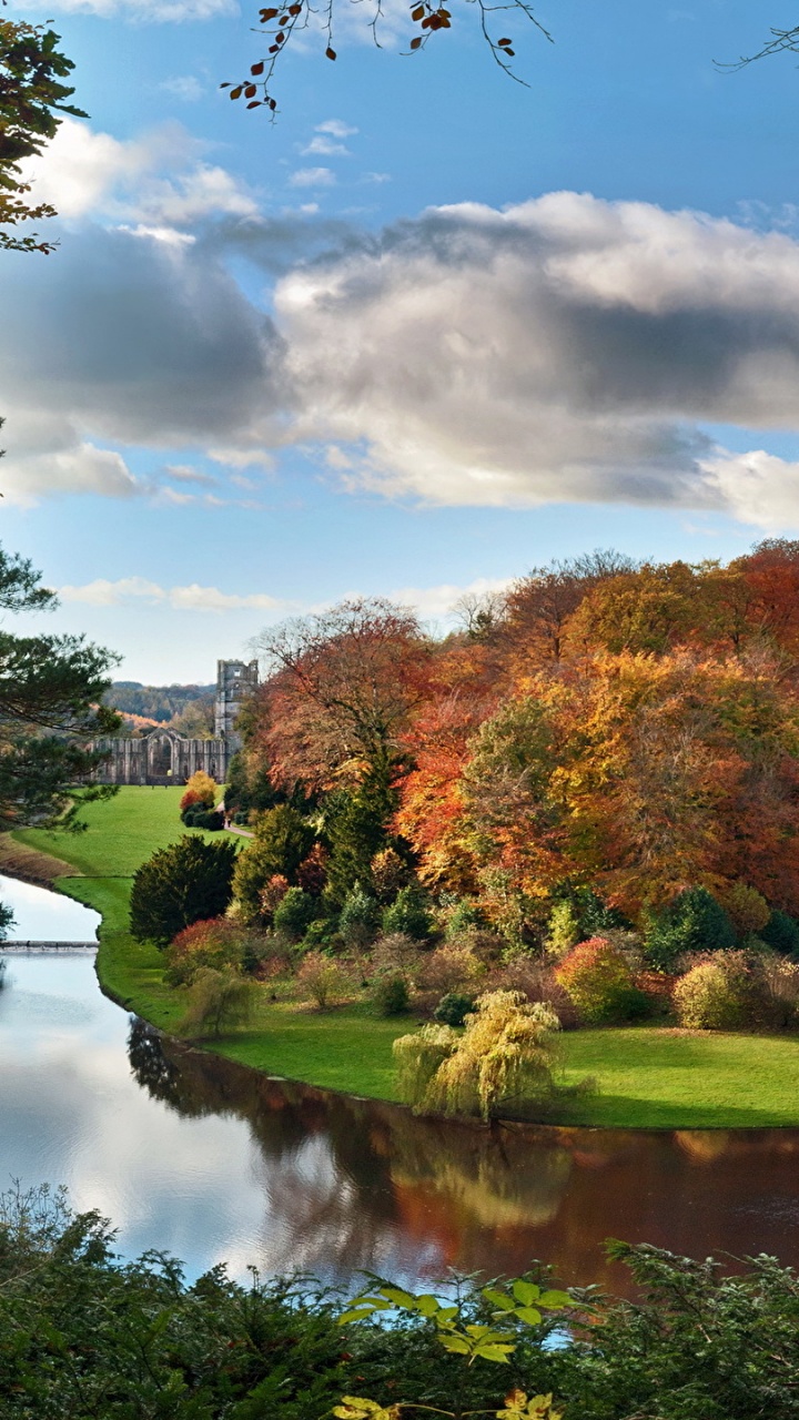 Arbres Verts et Bruns à Côté de la Rivière Sous un Ciel Nuageux Pendant la Journée. Wallpaper in 720x1280 Resolution