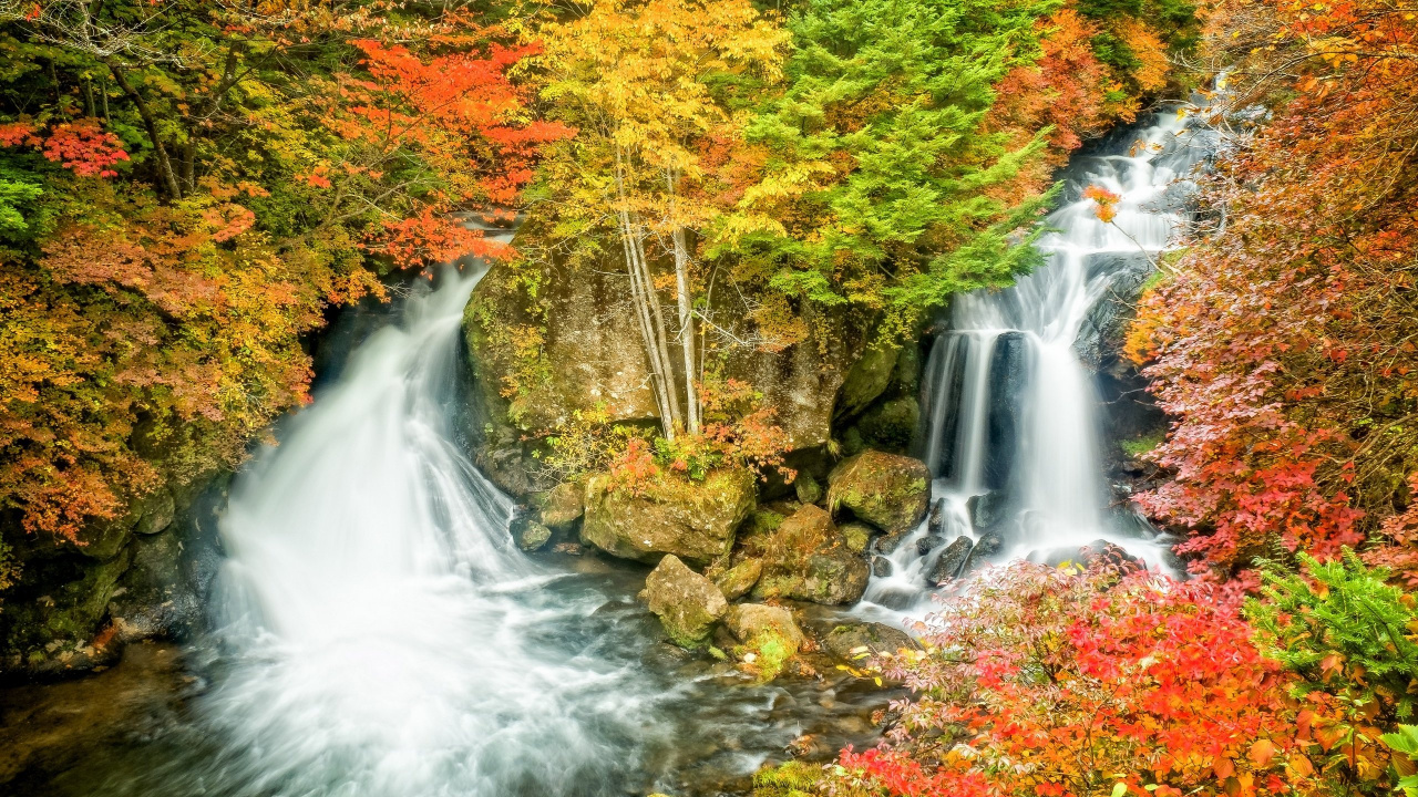 Cascades en Forêt Pendant la Journée. Wallpaper in 1280x720 Resolution