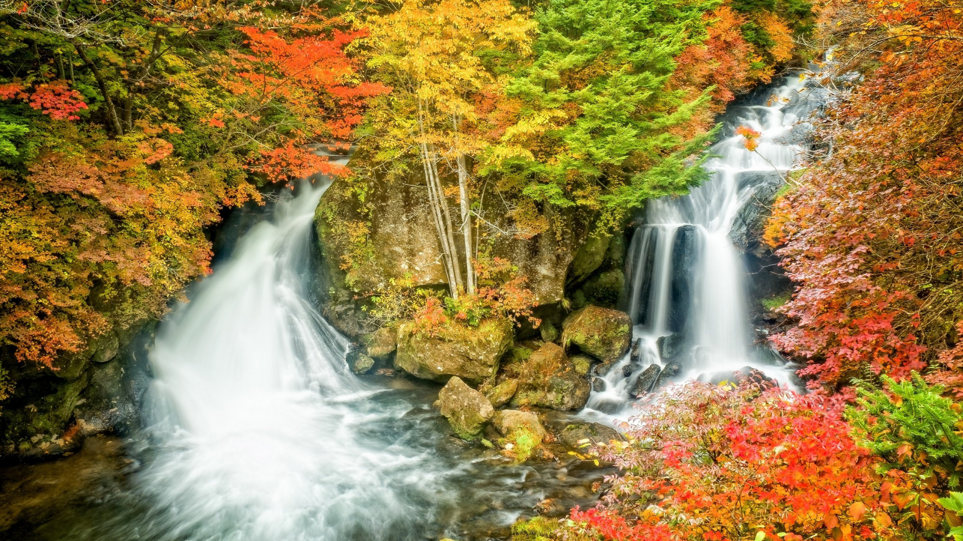 Cascades en Forêt Pendant la Journée. Wallpaper in 1920x1080 Resolution