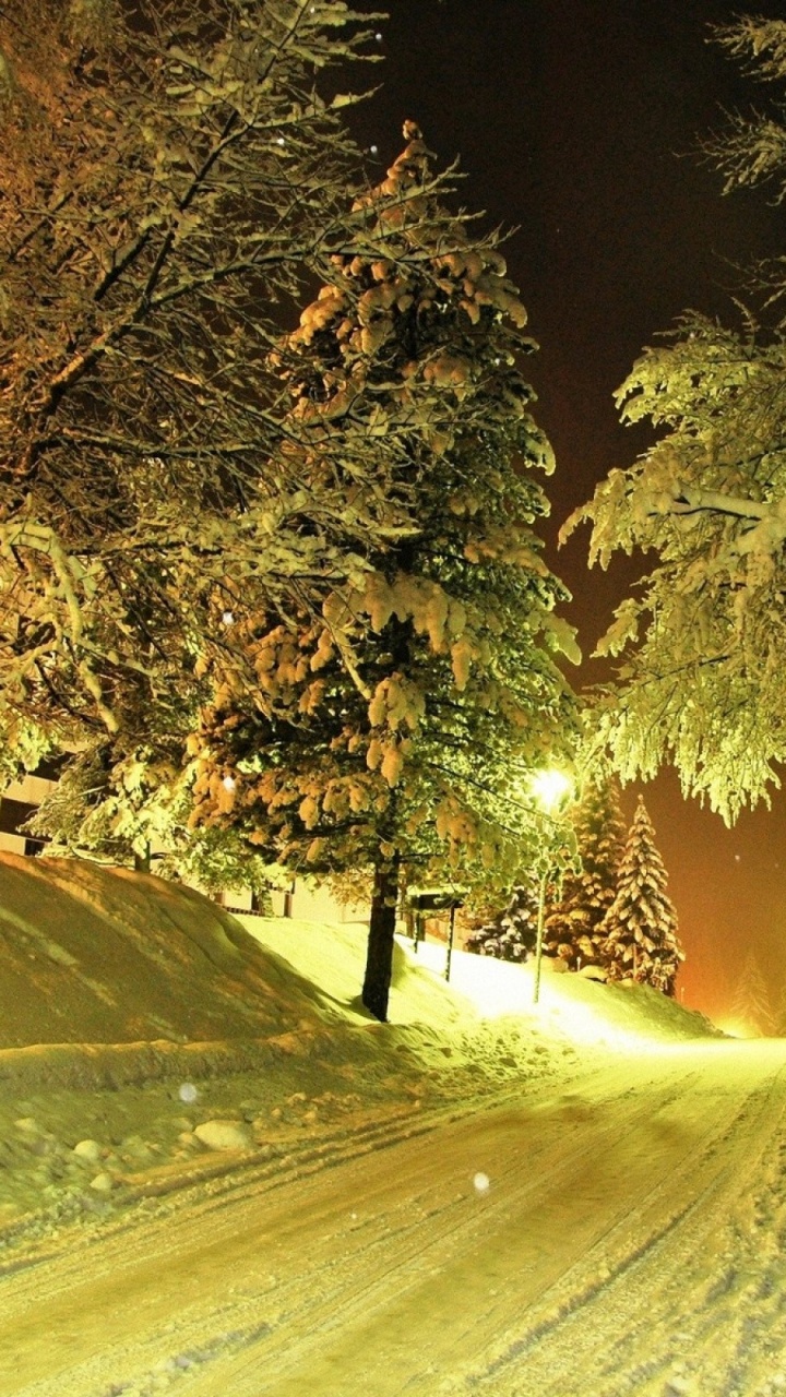 Snow Covered Road Between Trees During Daytime. Wallpaper in 720x1280 Resolution