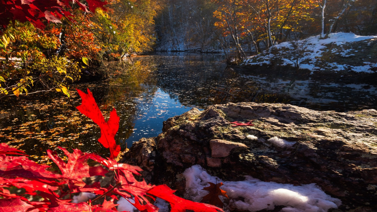 Reflection, Light, Natural Landscape, Leaf, Botany. Wallpaper in 1280x720 Resolution
