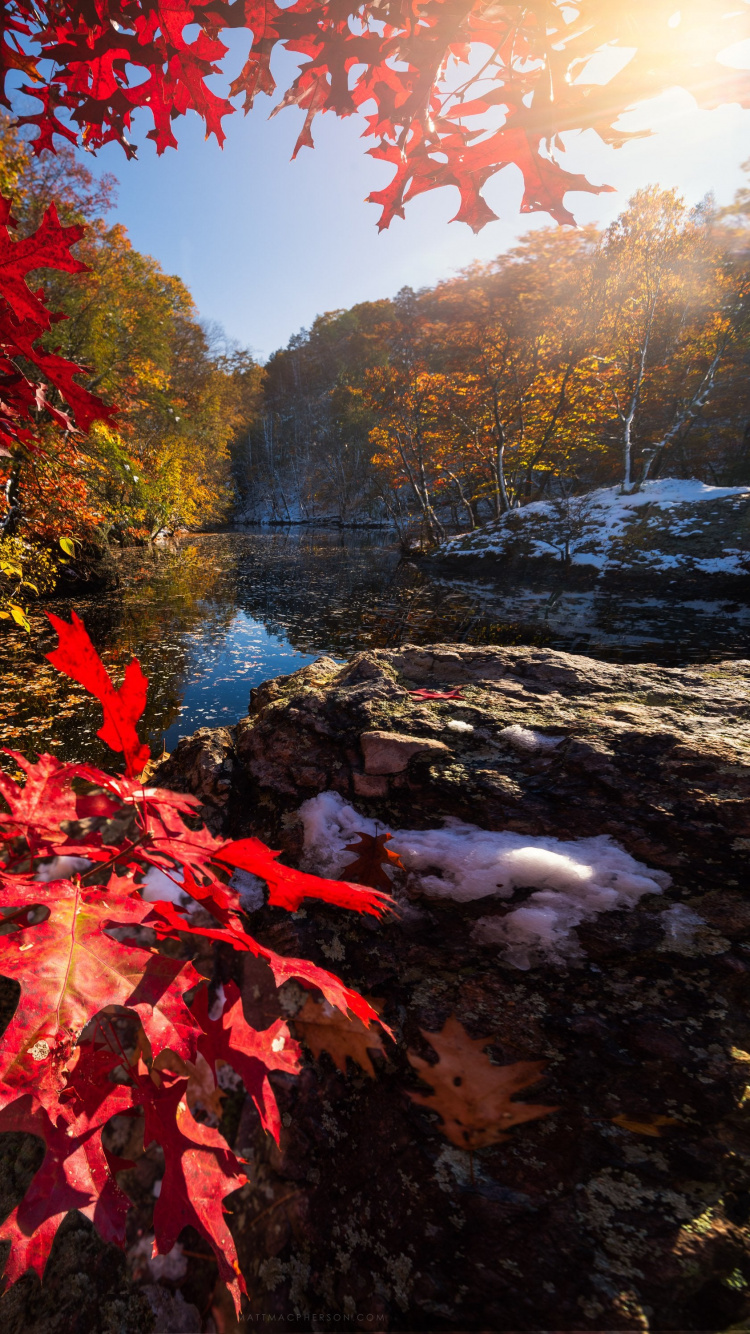 Reflection, Light, Natural Landscape, Leaf, Botany. Wallpaper in 750x1334 Resolution