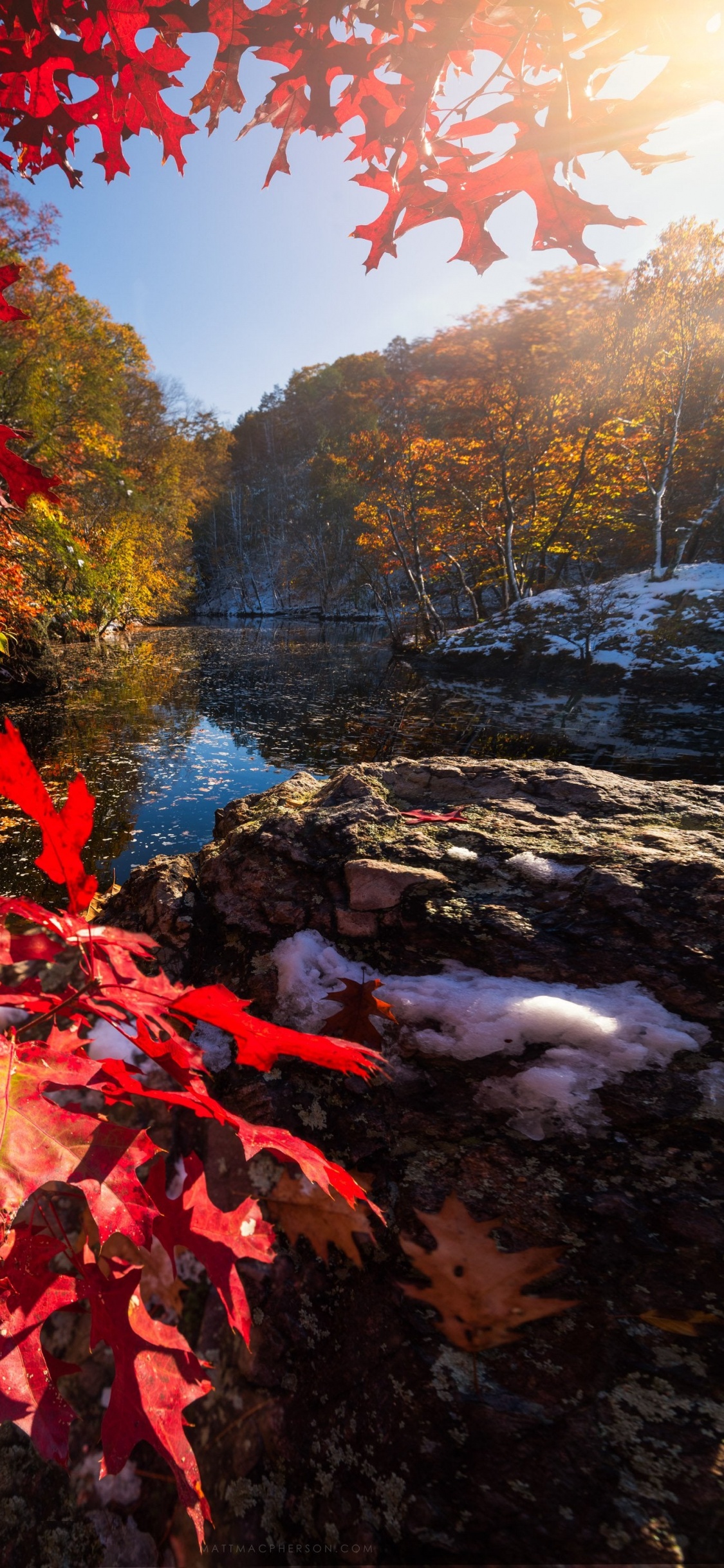 Reflexion, Licht, Naturlandschaft, Blatt, Botanik. Wallpaper in 1125x2436 Resolution