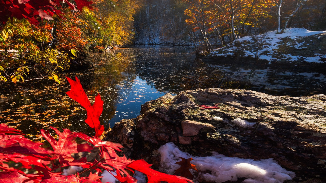 Reflexion, Licht, Naturlandschaft, Blatt, Botanik. Wallpaper in 1366x768 Resolution