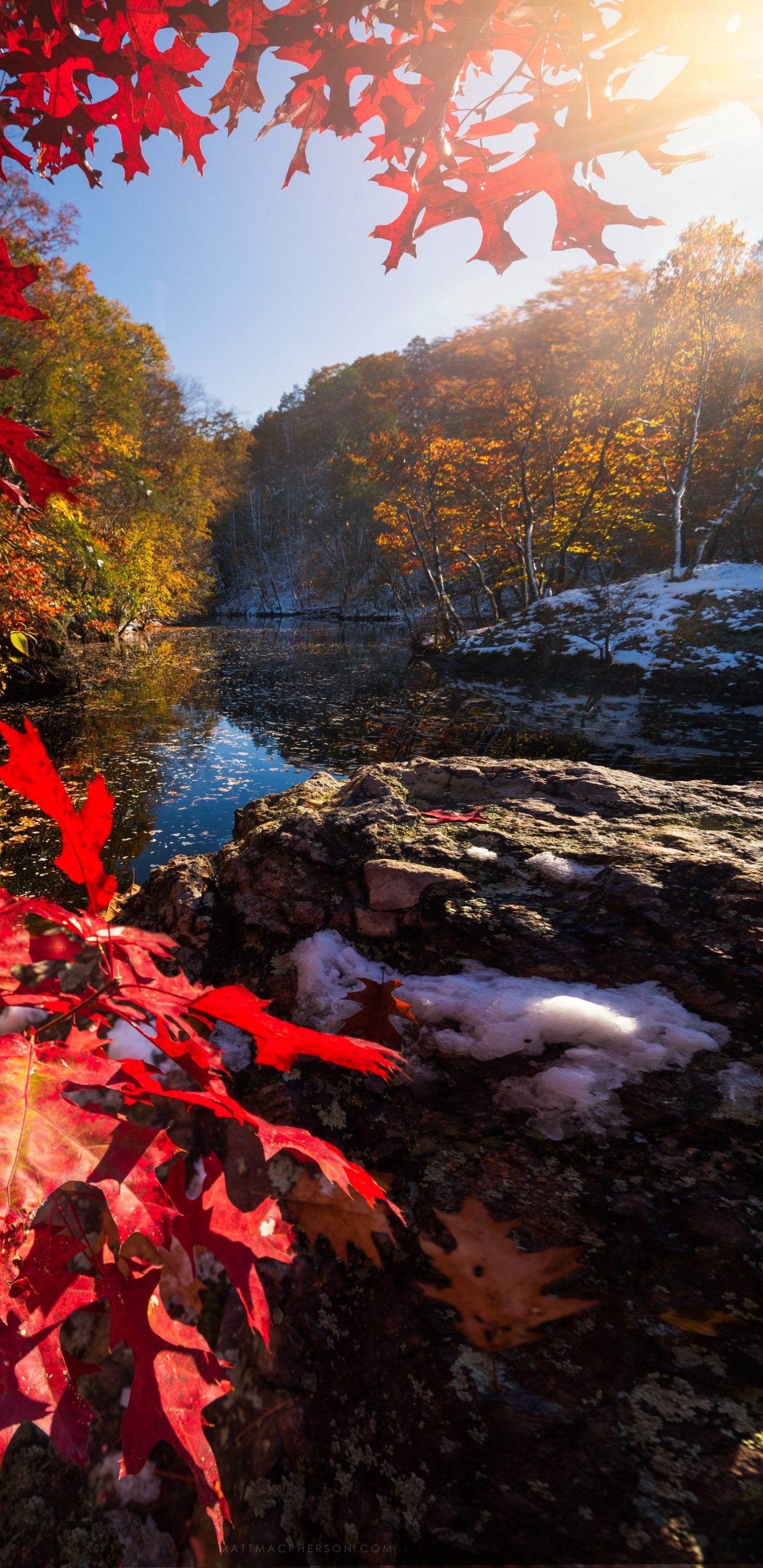 Reflexion, Licht, Naturlandschaft, Blatt, Botanik. Wallpaper in 1440x2960 Resolution