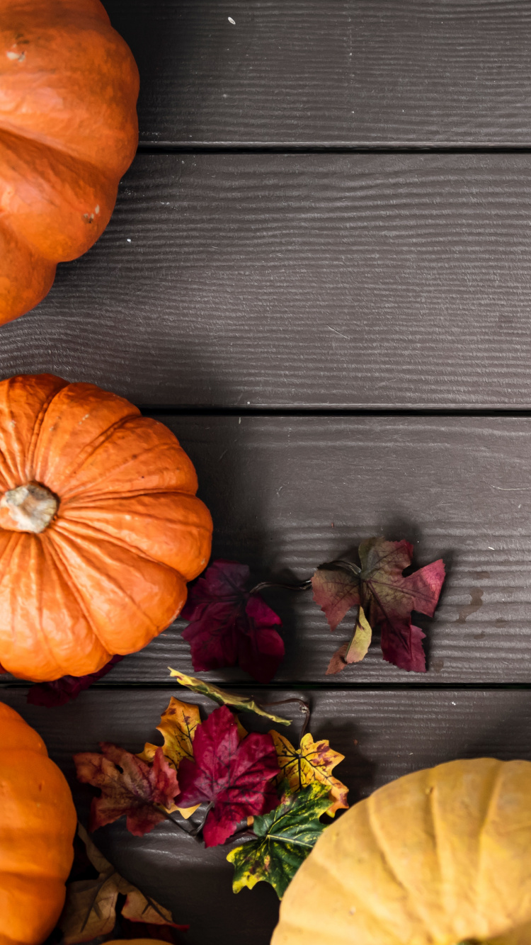 Herbst, Thanksgiving, Feldkürbis, Lebensmittel, Cucurbita. Wallpaper in 750x1334 Resolution