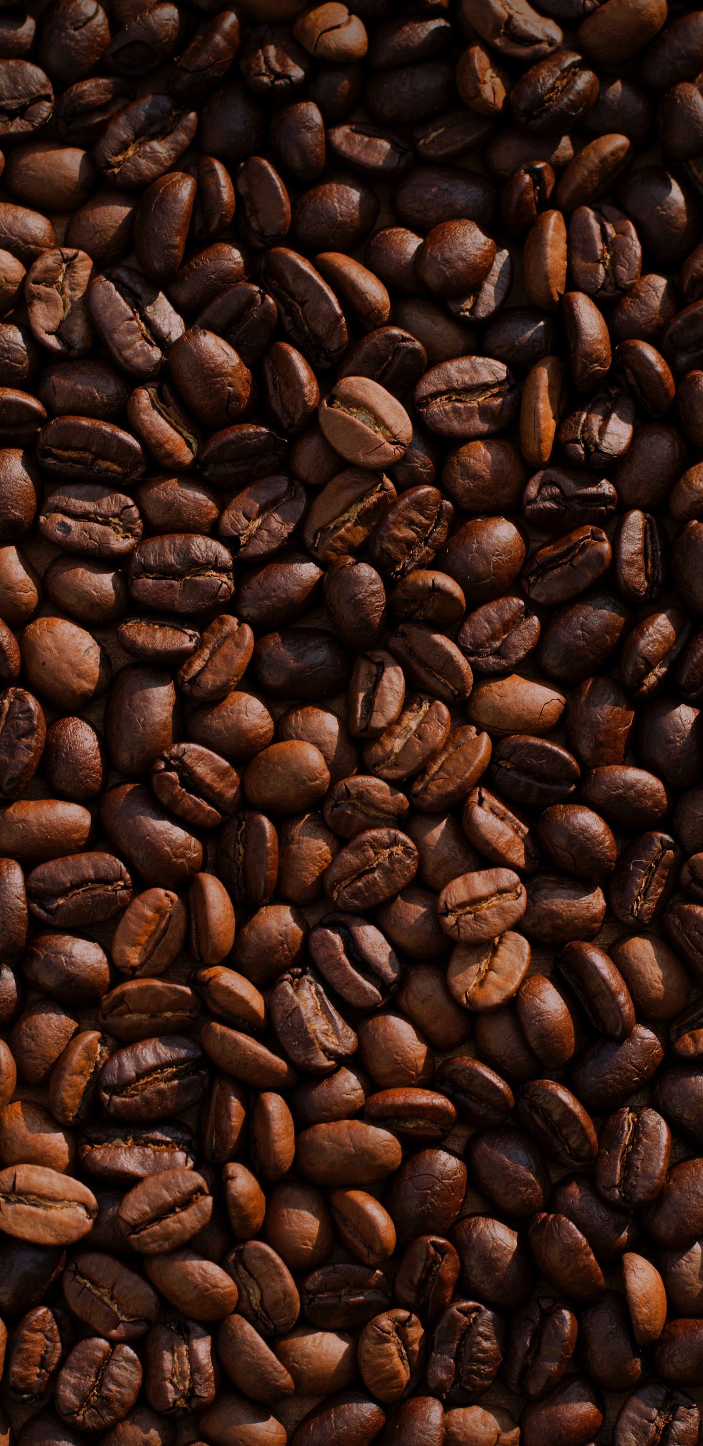Coffee Beans on Brown Wooden Surface. Wallpaper in 1440x2960 Resolution