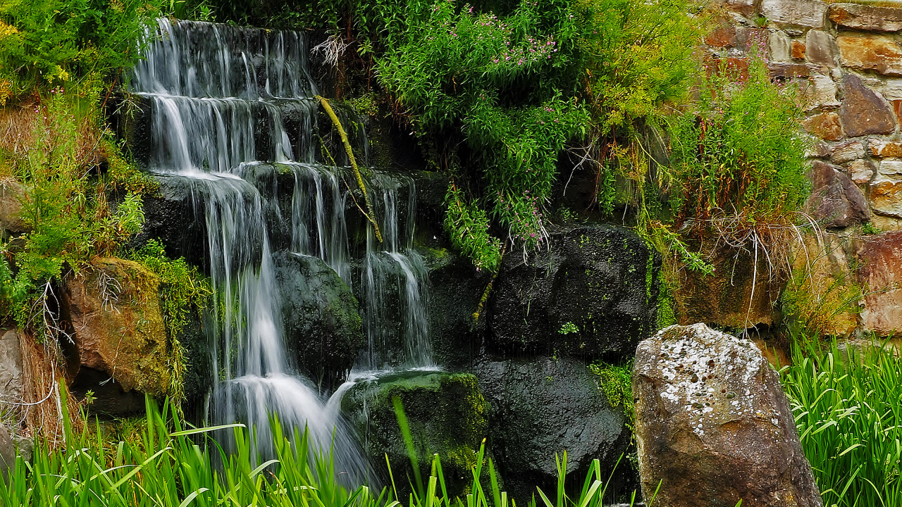 L'eau Tombe Sur L'herbe Verte. Wallpaper in 1280x720 Resolution