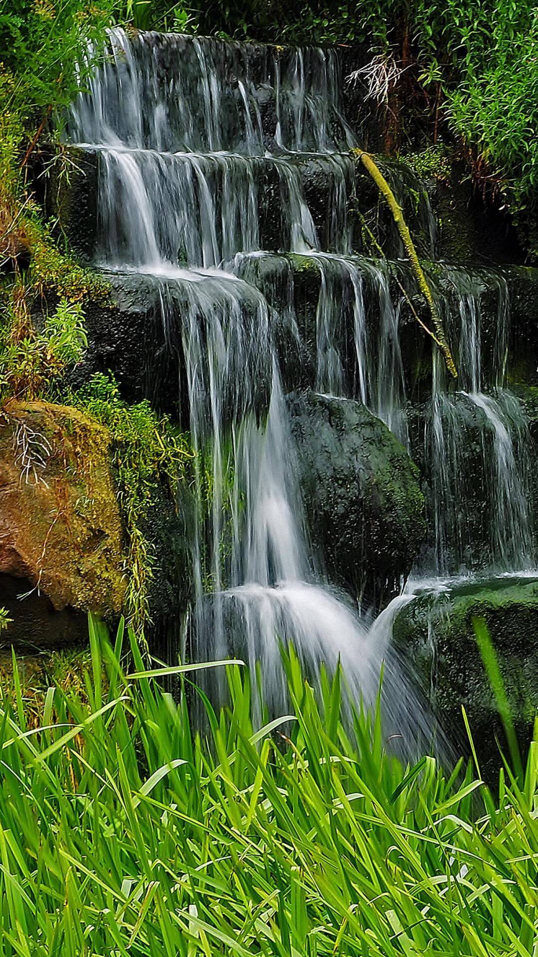 el Agua Cae Sobre la Hierba Verde. Wallpaper in 1080x1920 Resolution