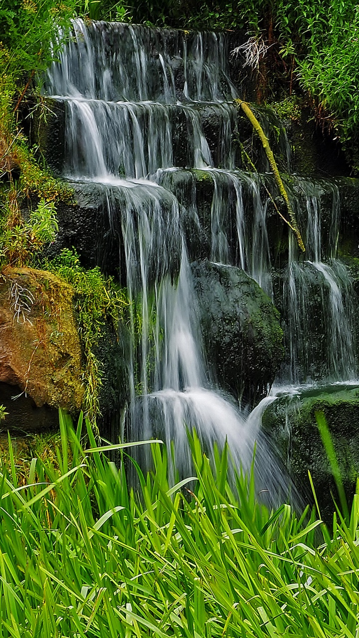 el Agua Cae Sobre la Hierba Verde. Wallpaper in 720x1280 Resolution