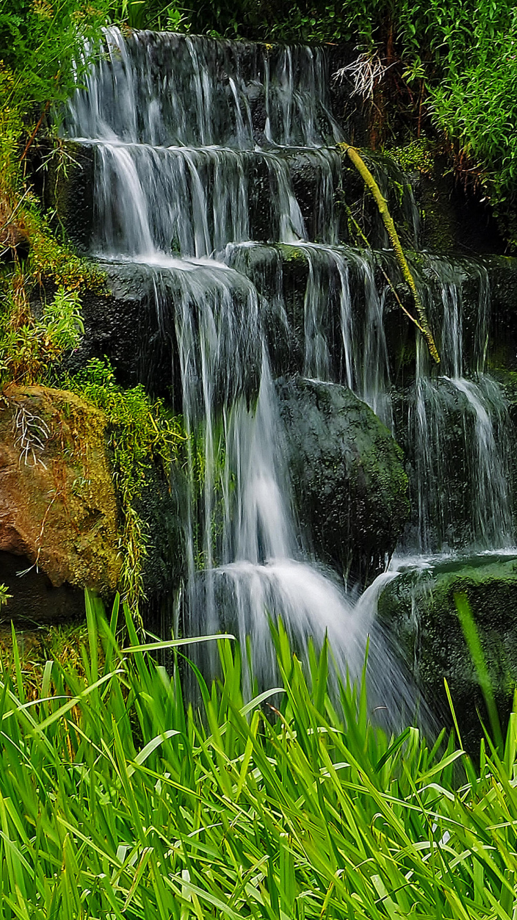 el Agua Cae Sobre la Hierba Verde. Wallpaper in 750x1334 Resolution