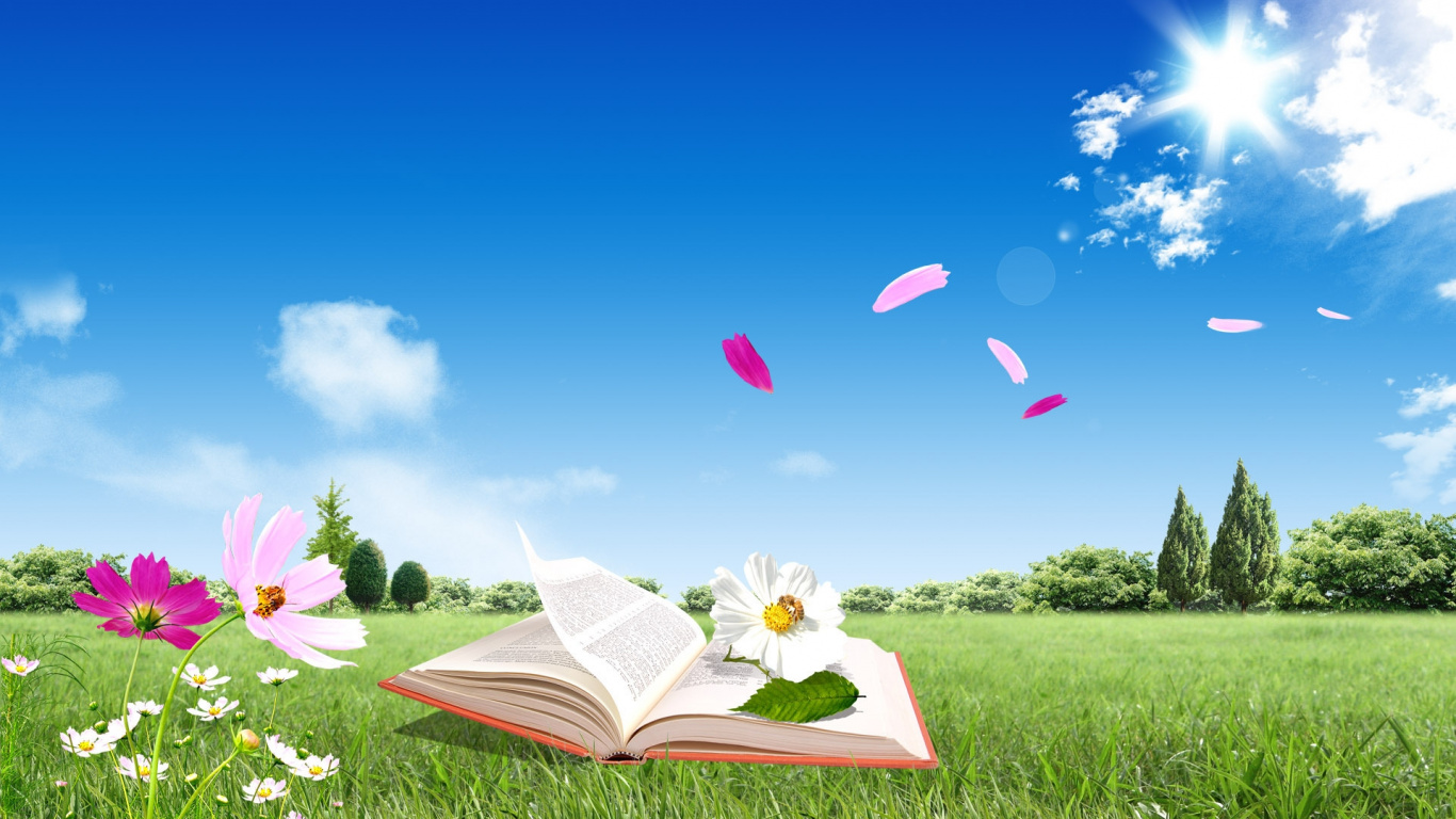 White Flower on Green Grass Field Under Blue Sky During Daytime. Wallpaper in 1366x768 Resolution