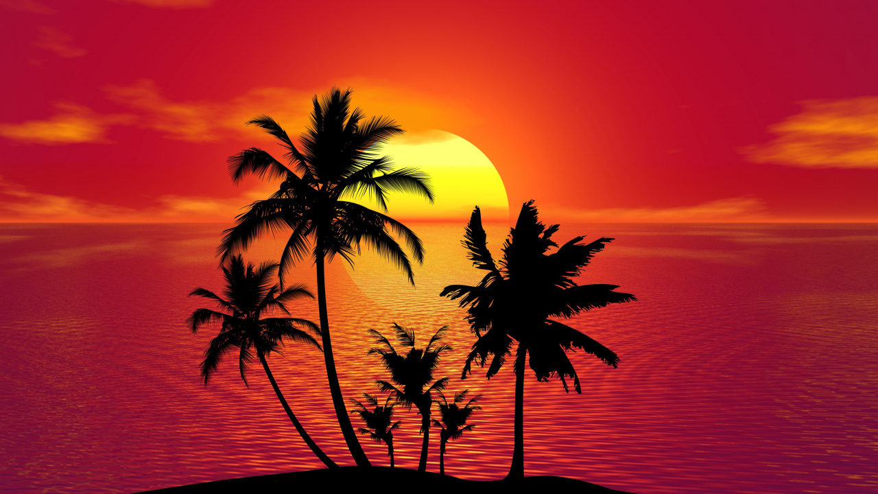 Palm Tree Under Orange Sky. Wallpaper in 1280x720 Resolution