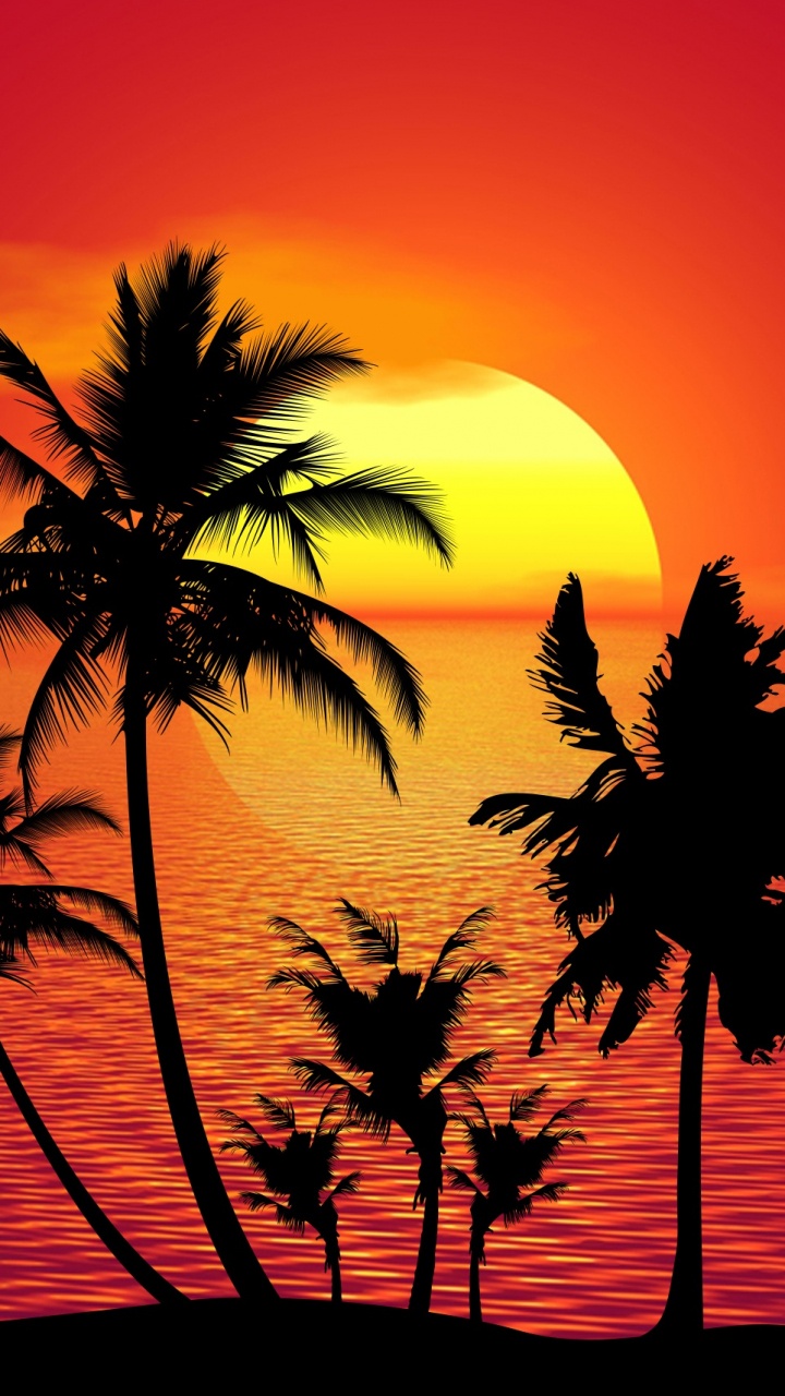 Palm Tree Under Orange Sky. Wallpaper in 720x1280 Resolution