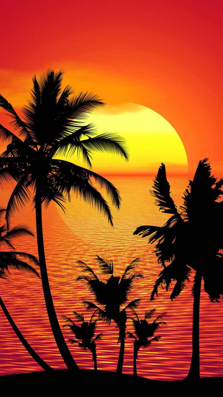 Palm Tree Under Orange Sky. Wallpaper in 750x1334 Resolution