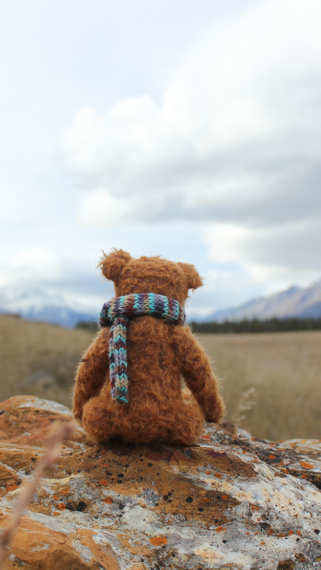 Brown Teddy Bear on Brown Soil During Daytime. Wallpaper in 1080x1920 Resolution
