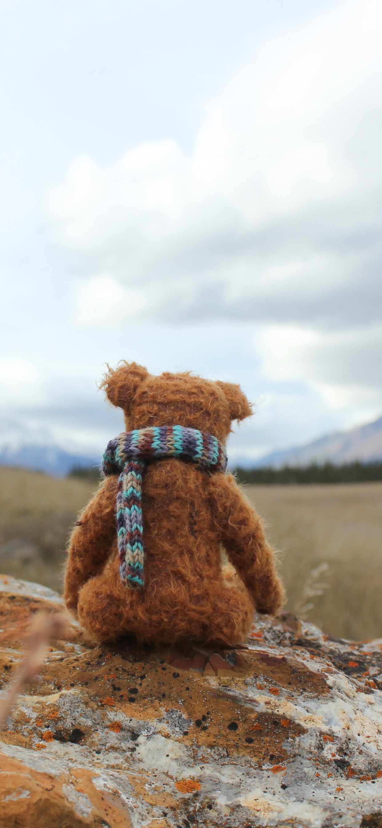 Brown Teddy Bear on Brown Soil During Daytime. Wallpaper in 1242x2688 Resolution