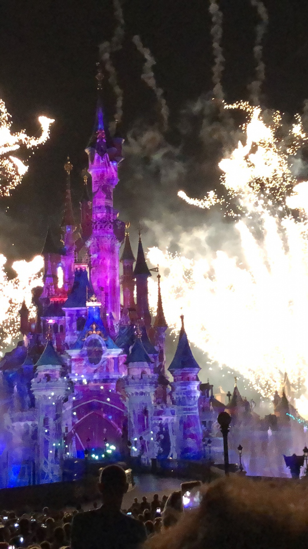 Disneyland, Artifice, Nuit, Événement, Obscurité. Wallpaper in 1080x1920 Resolution