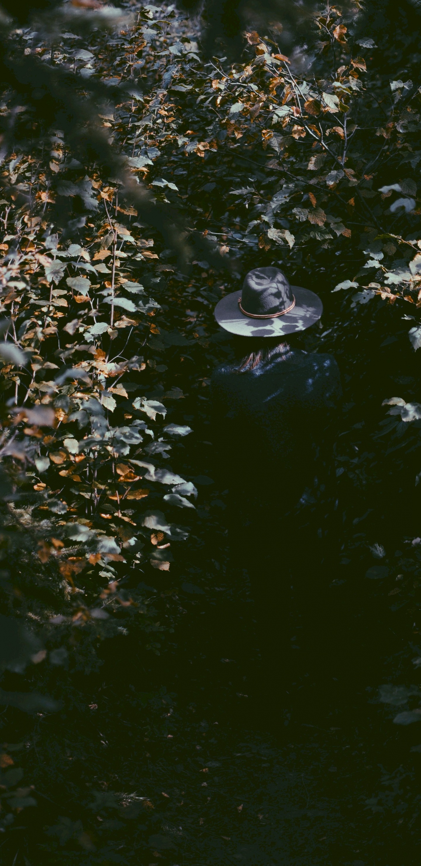 Wasser, Reflexion, Blatt, Teich, Wasserlauf. Wallpaper in 1440x2960 Resolution