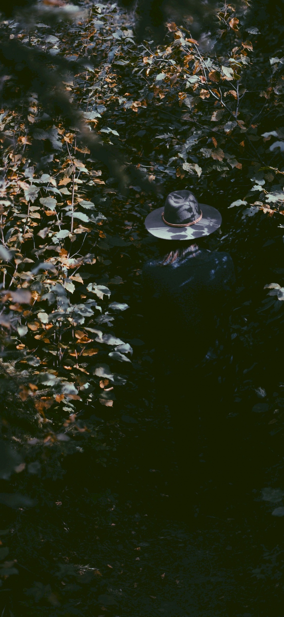 Water, Reflection, Leaf, Pond, Watercourse. Wallpaper in 1125x2436 Resolution