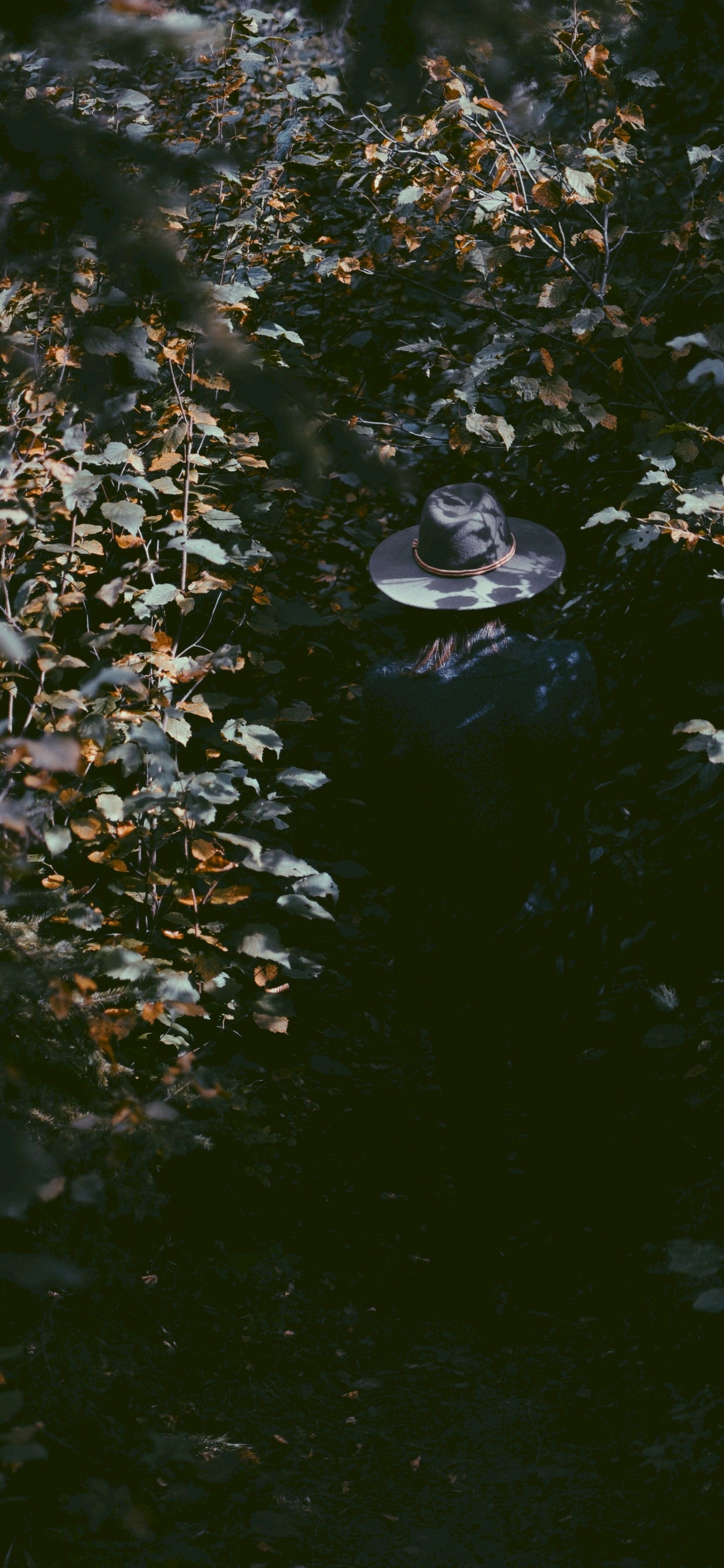 Water, Reflection, Leaf, Pond, Watercourse. Wallpaper in 1242x2688 Resolution