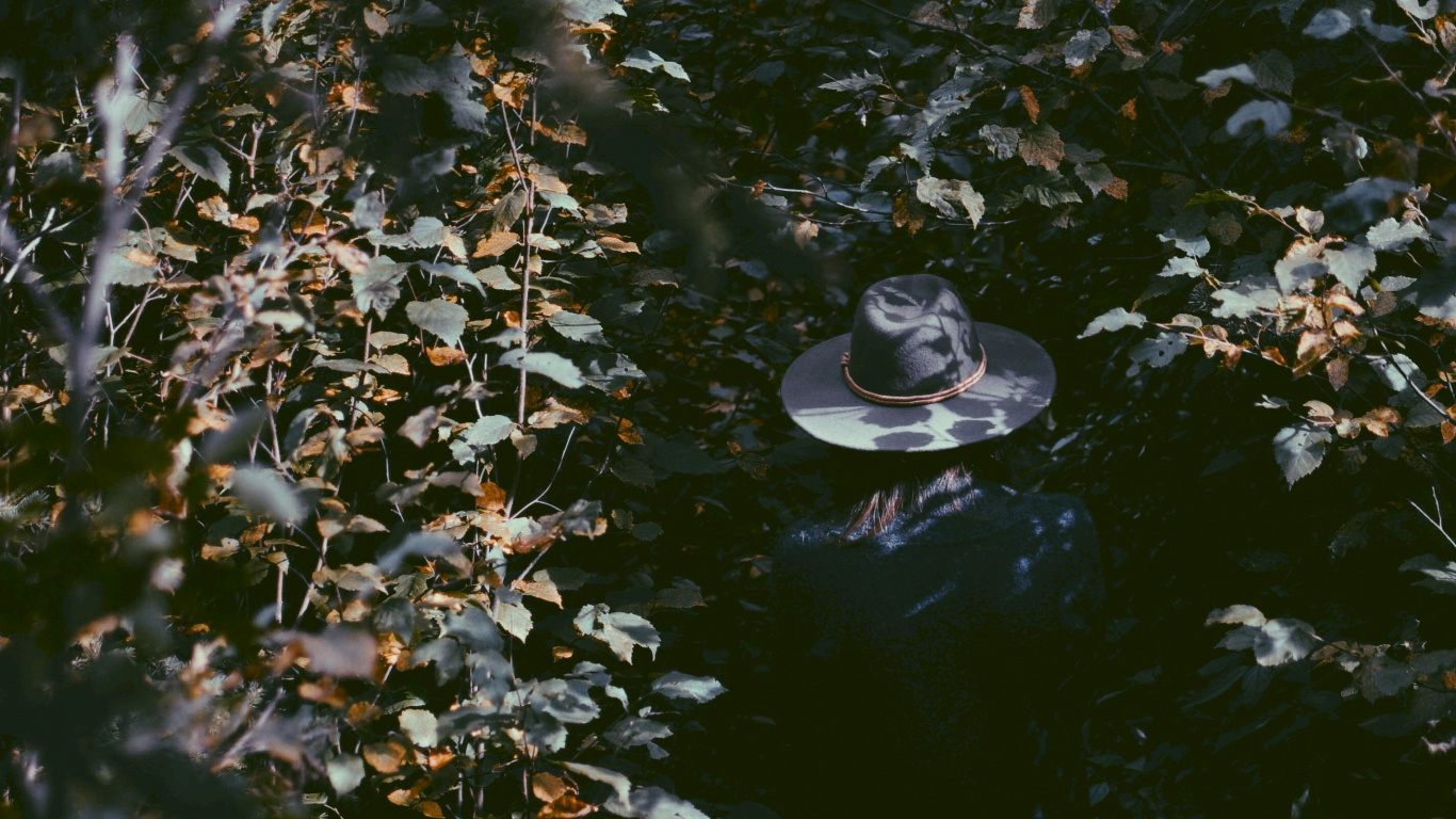 Water, Reflection, Leaf, Pond, Watercourse. Wallpaper in 1366x768 Resolution