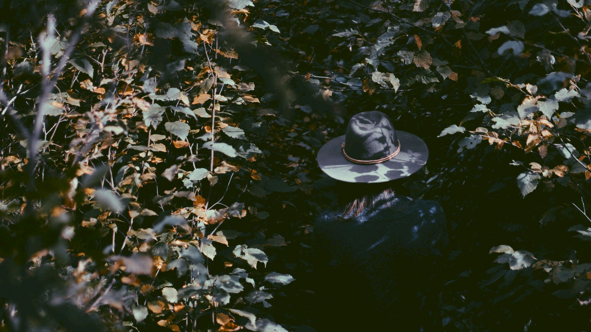 Water, Reflection, Leaf, Pond, Watercourse. Wallpaper in 1920x1080 Resolution