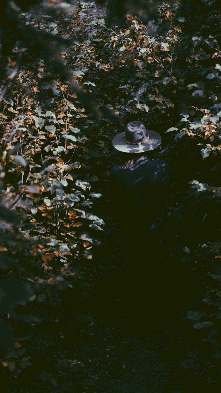 Water, Reflection, Leaf, Pond, Watercourse. Wallpaper in 720x1280 Resolution