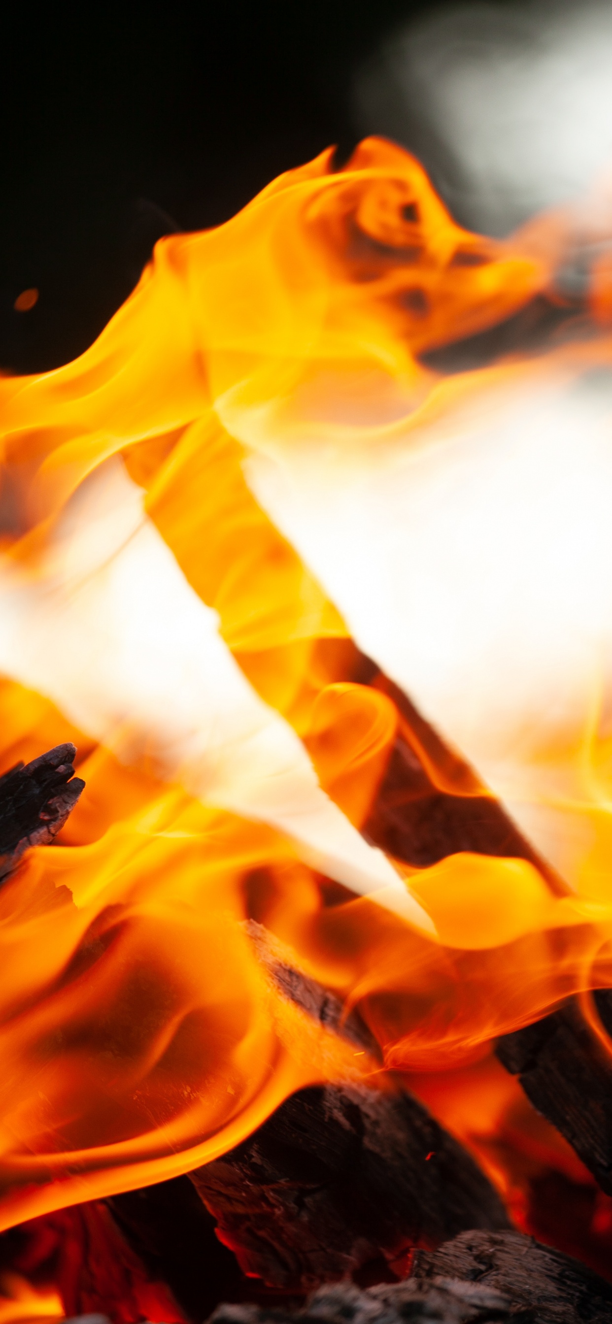 Feuer, Himmel, Lagerfeuer, Gelb, Sonnenblume. Wallpaper in 1242x2688 Resolution