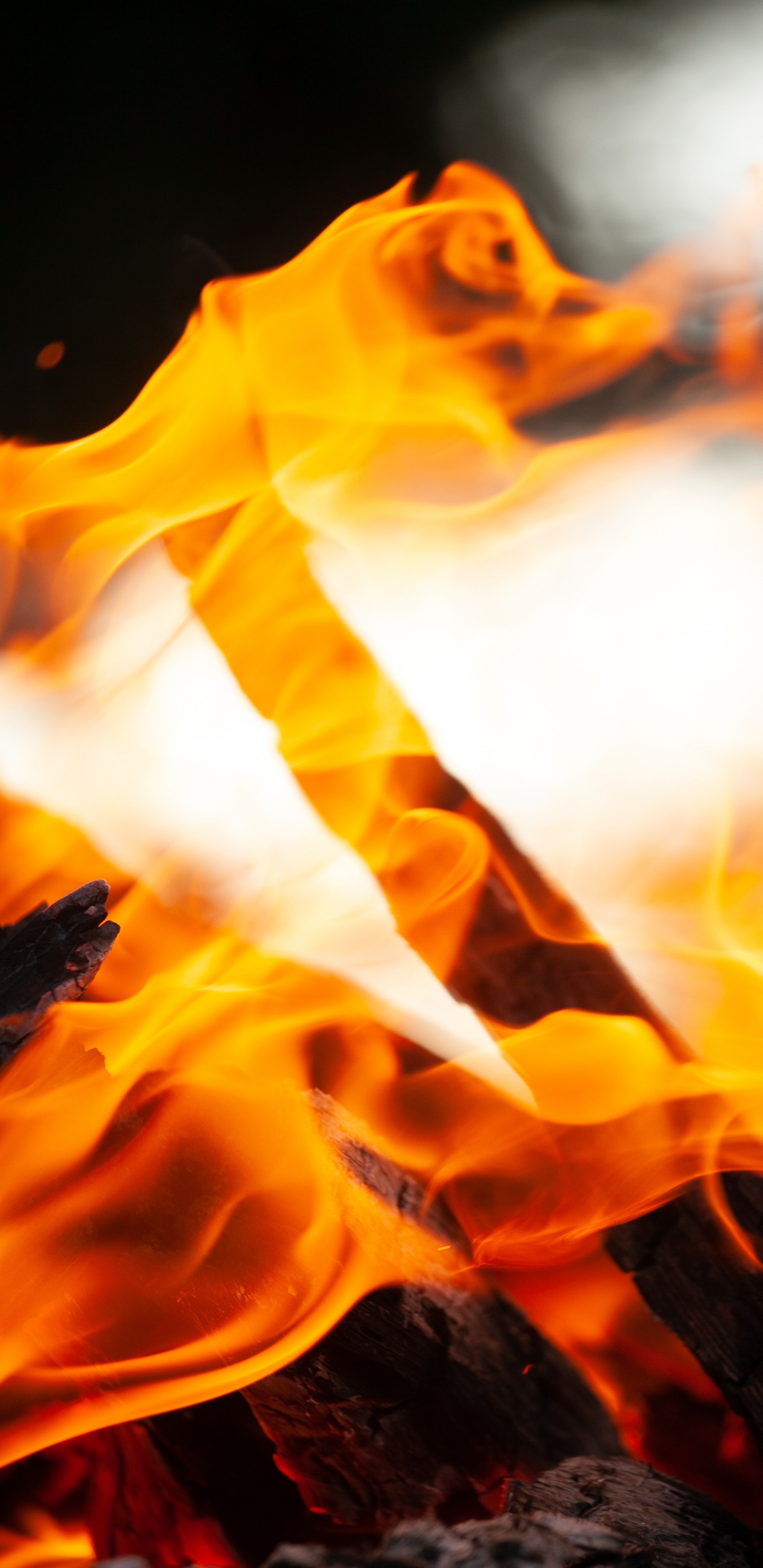 Feuer, Himmel, Lagerfeuer, Gelb, Sonnenblume. Wallpaper in 1440x2960 Resolution