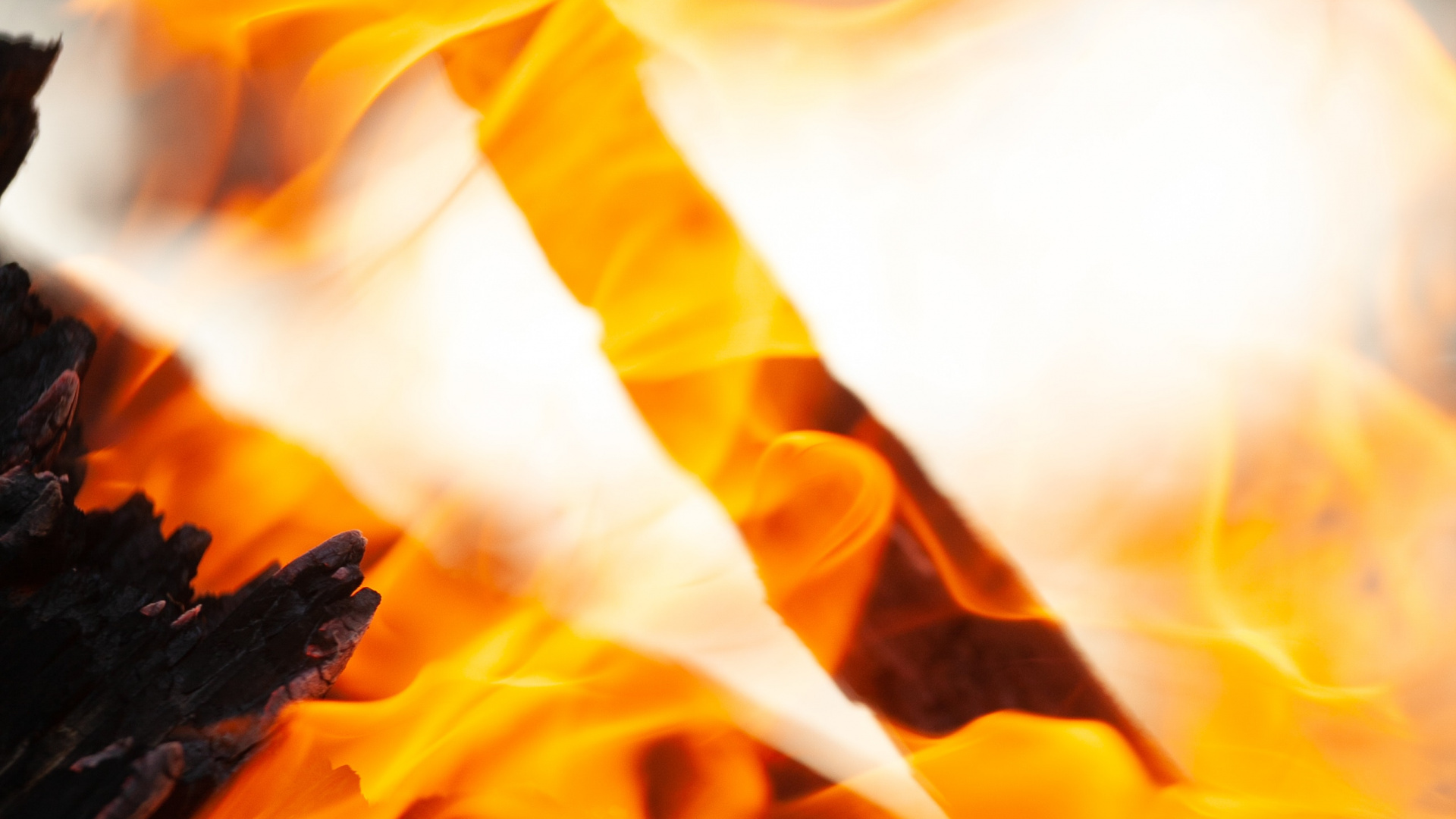 Feuer, Himmel, Lagerfeuer, Gelb, Sonnenblume. Wallpaper in 1920x1080 Resolution