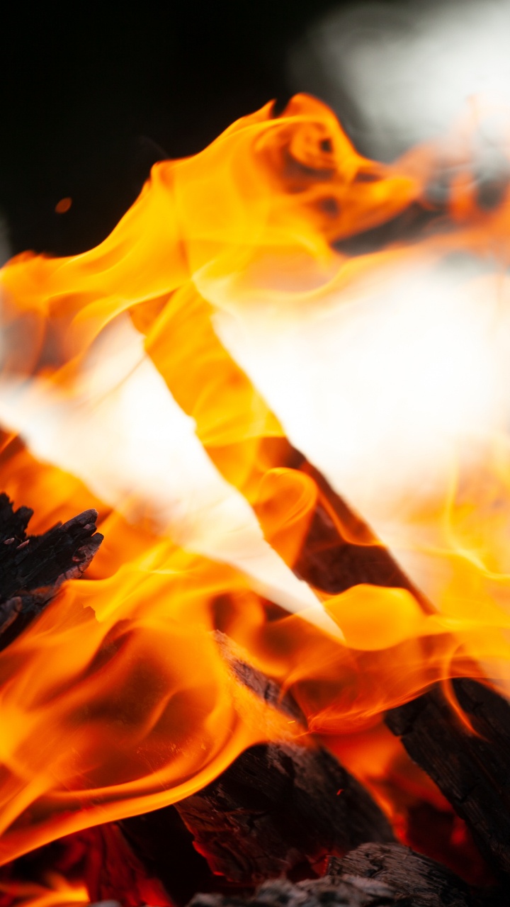 Feuer, Himmel, Lagerfeuer, Gelb, Sonnenblume. Wallpaper in 720x1280 Resolution