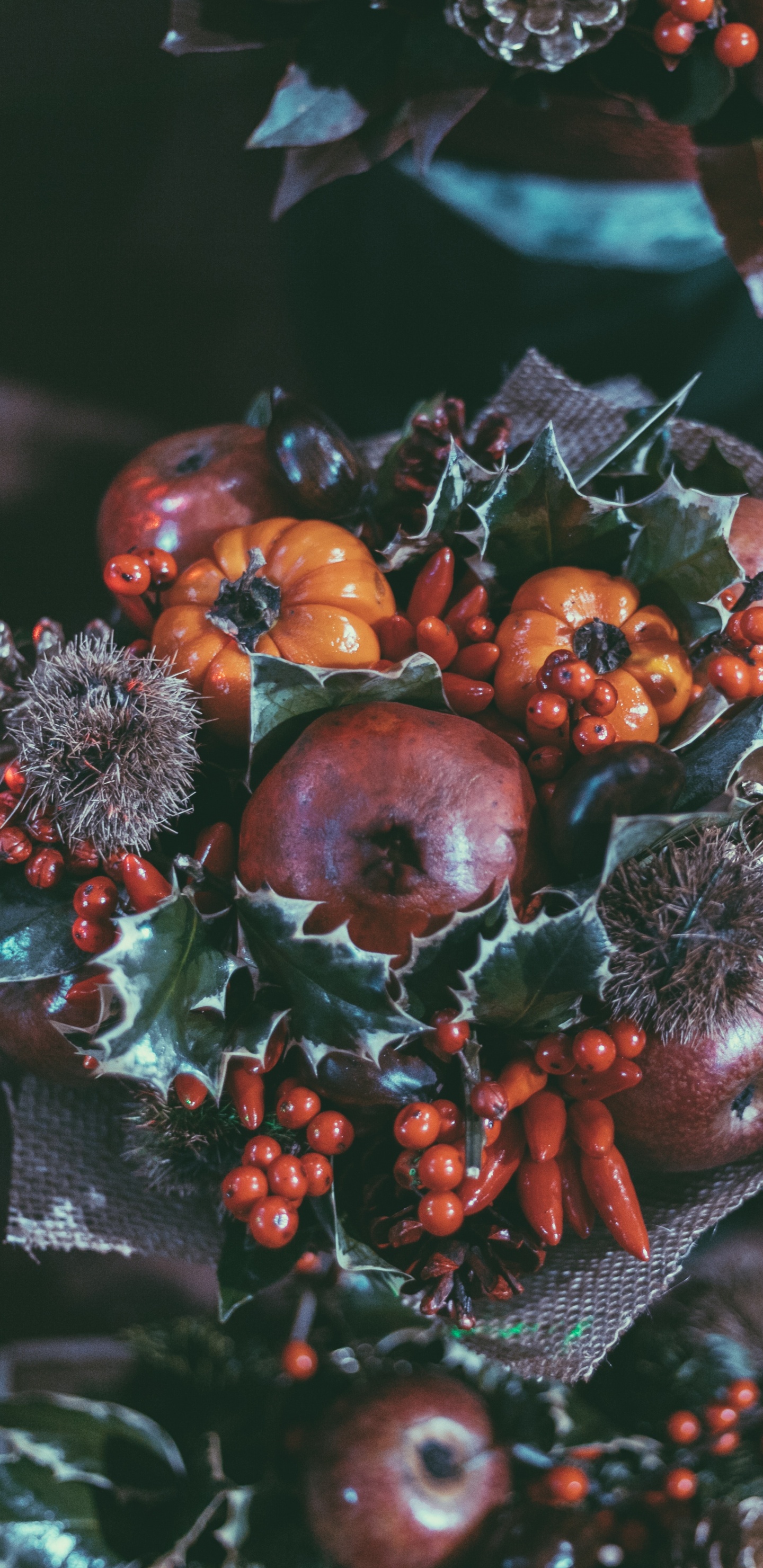 Fruits Ronds Rouges et Bruns. Wallpaper in 1440x2960 Resolution