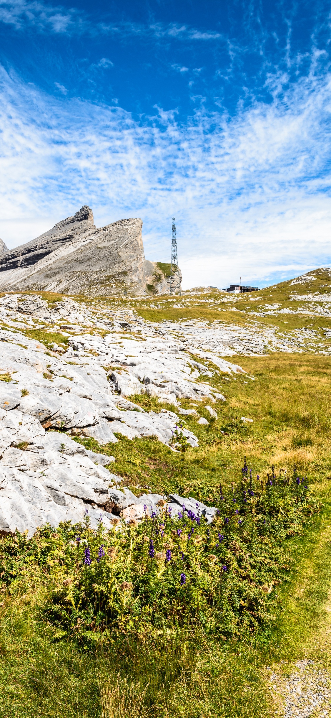 Cloud, Plant, Mountain, Natural Landscape, Slope. Wallpaper in 1125x2436 Resolution